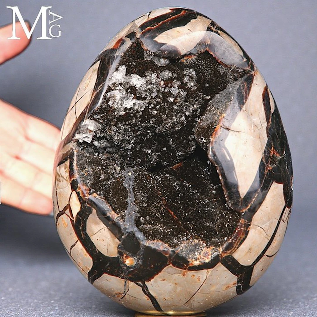 Intricately Patterned Septarian Nodule - Deep Calcite and...