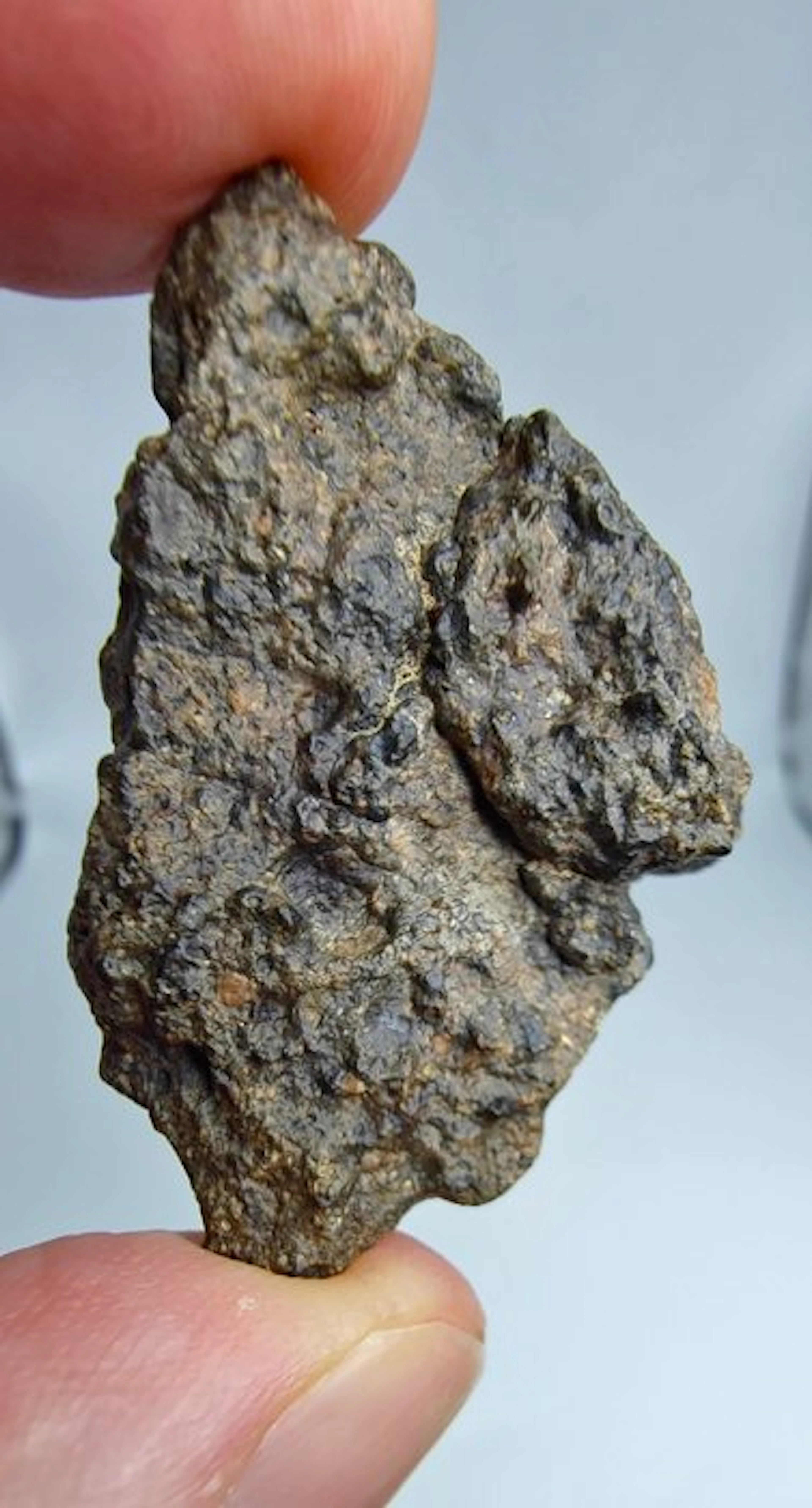 Meteorite Howardite HED, Bechar 008. Do not reserve price. - 27.79 g