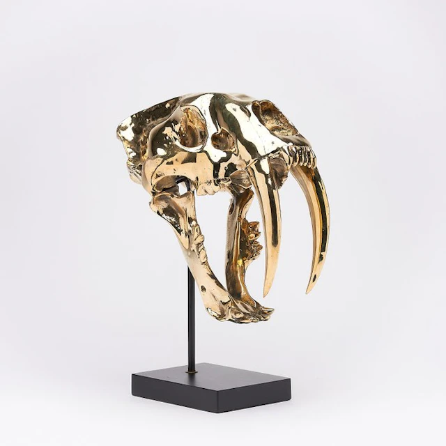 Sabre-toothed Tiger Skull - (Smilodon) - 38 cm - 18 cm - 32 cm