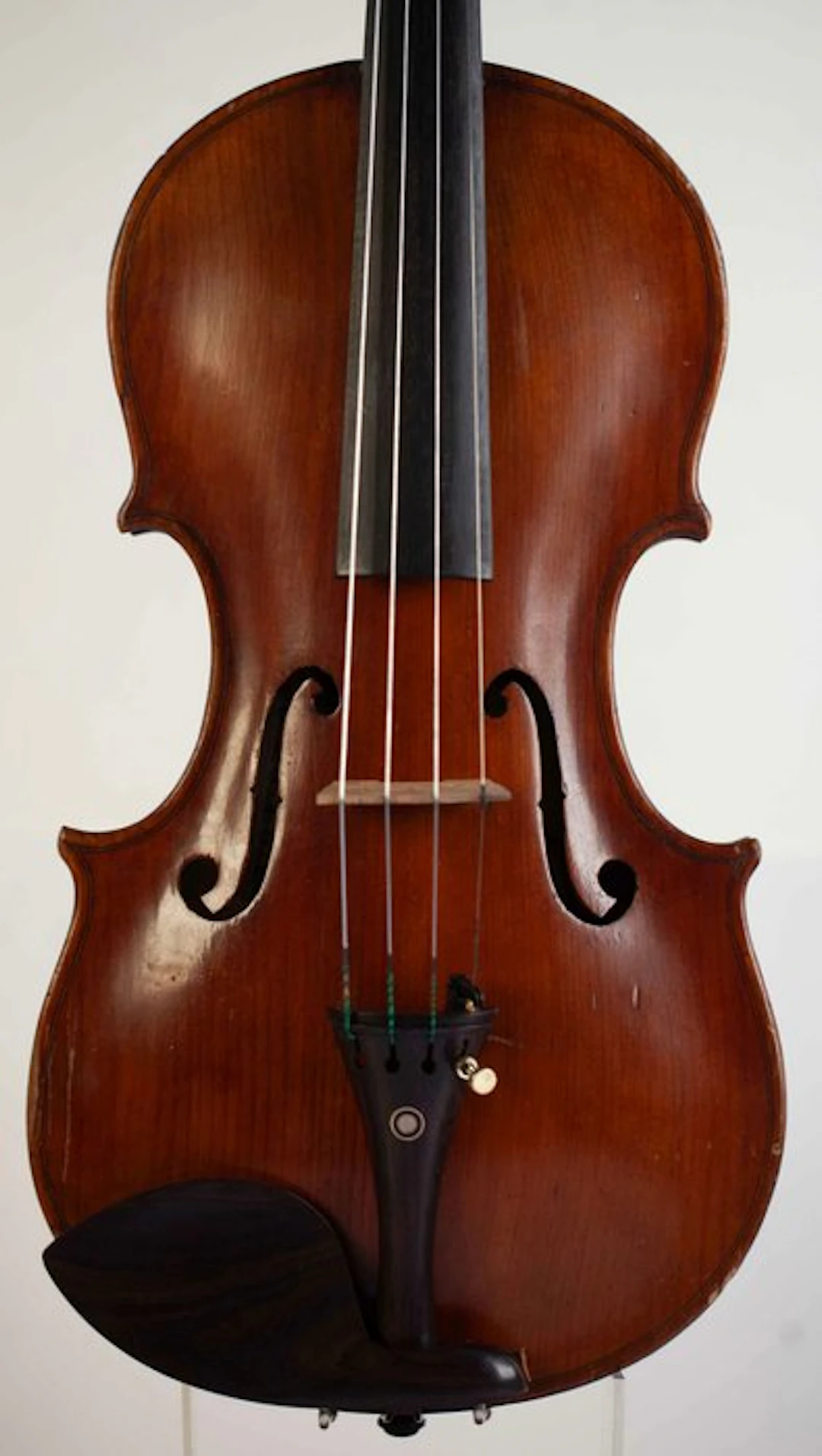 Labelled Carlo Tononi - - Violin - Unknown