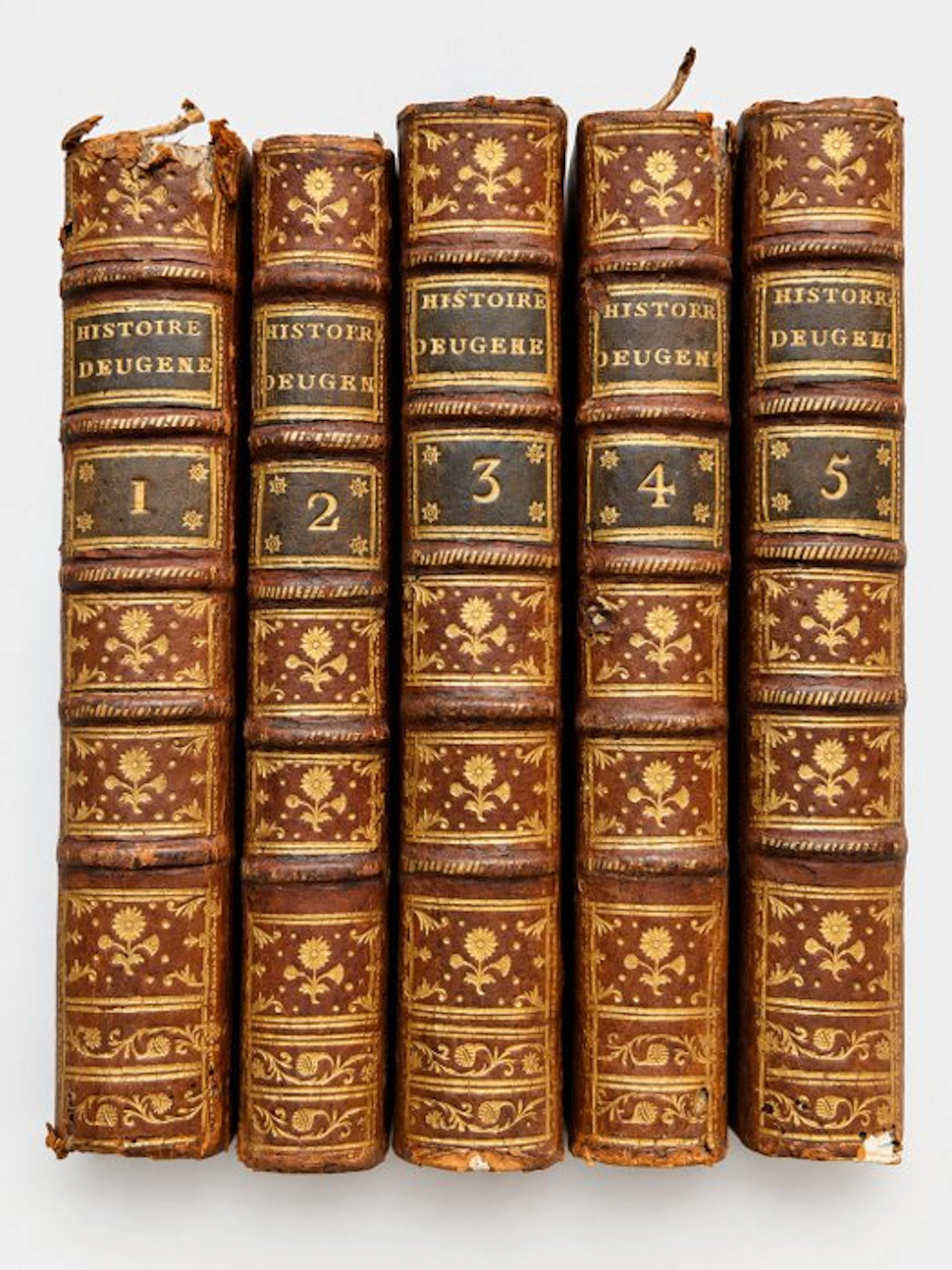 Éléazar de Mauvillon - Histoire du Prince Eugène de Savoye - 1780