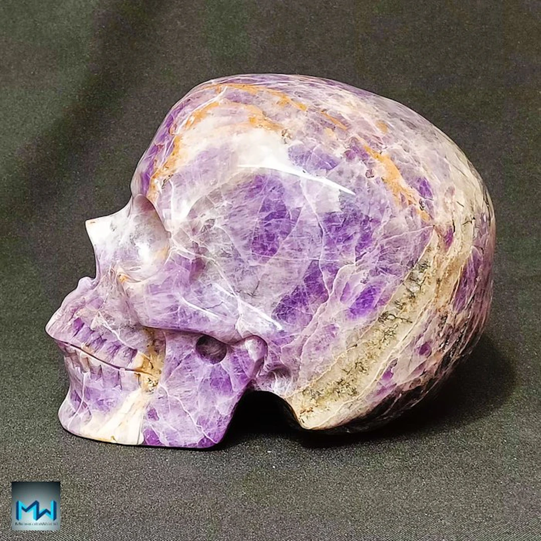 8" Extraordinary Human Skull