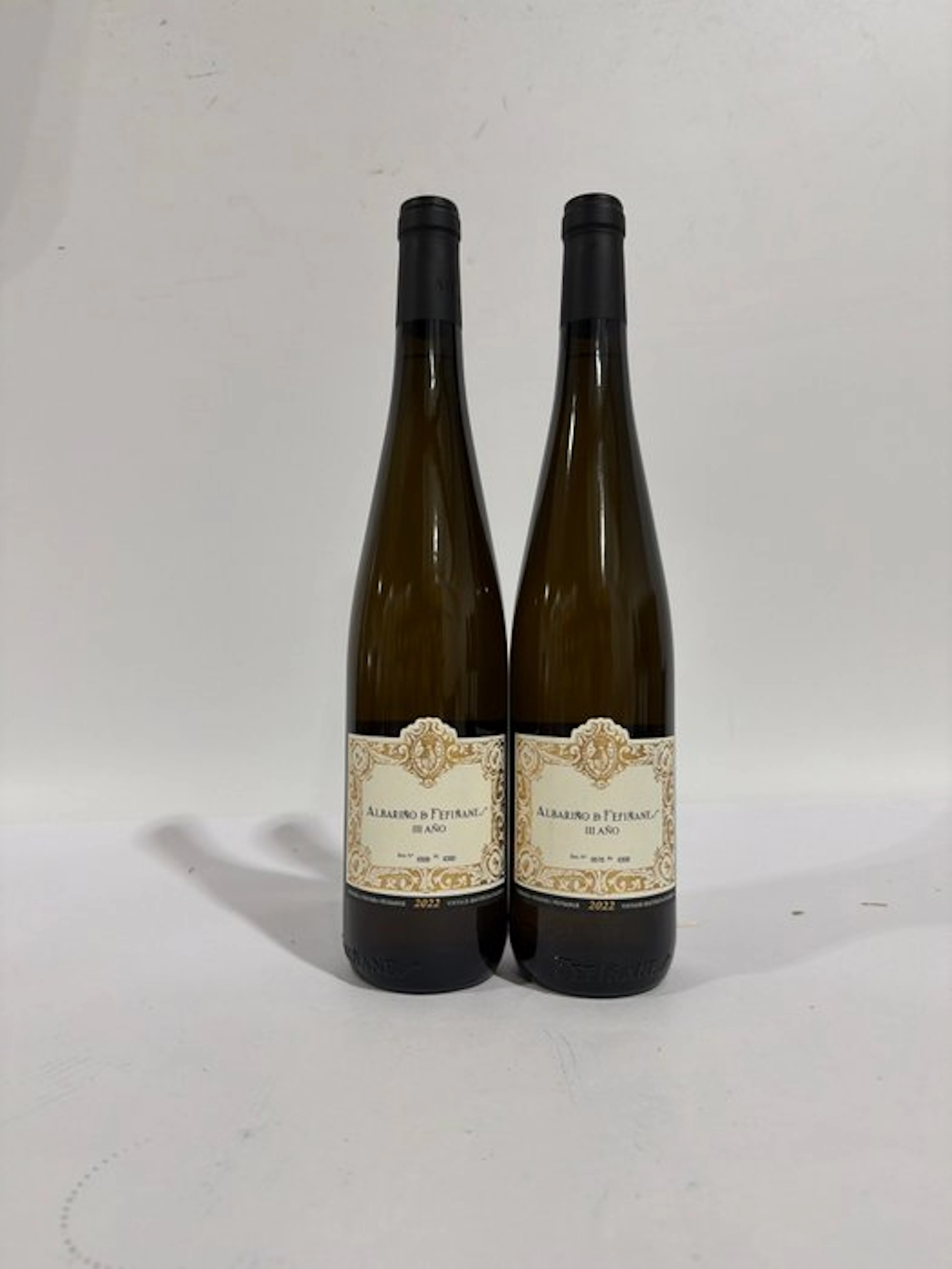 2022 Albariño de Fefiñanes III Año - Rias Baixas - 2 Bottles (0.75L)