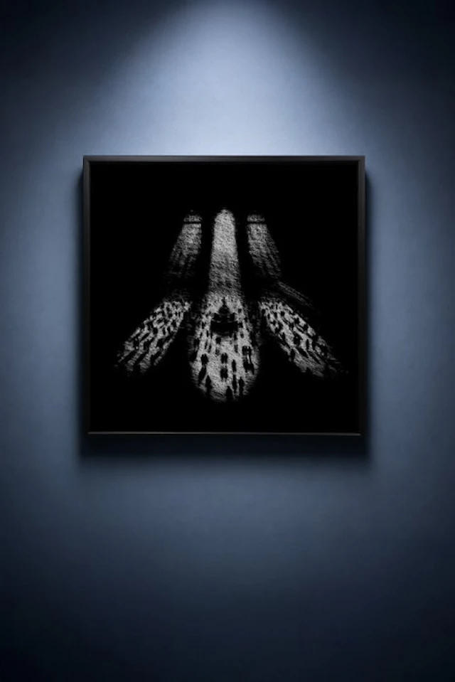 Tijs Dragtsma (1992) - Shafts of Standing Light