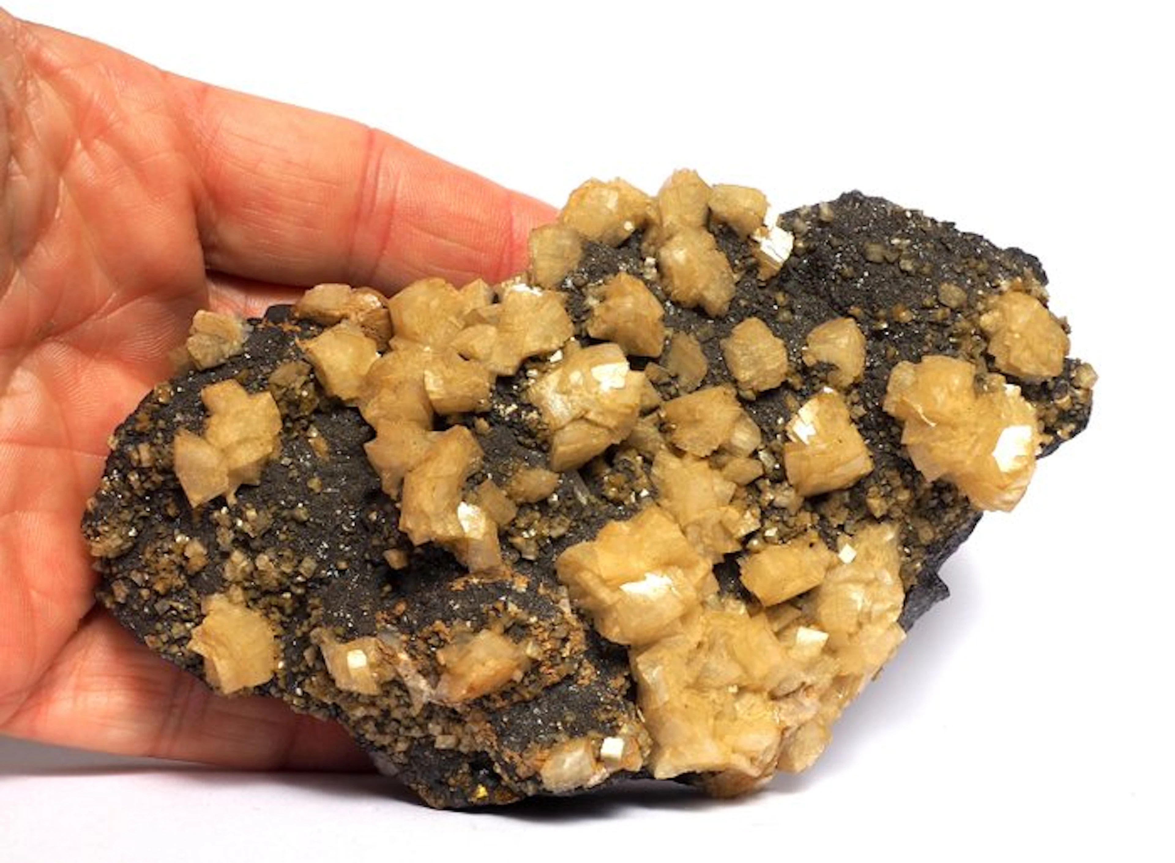 Dolomite Crystals on matrix - Height: 14 cm - Width: 9 cm- 1 kg