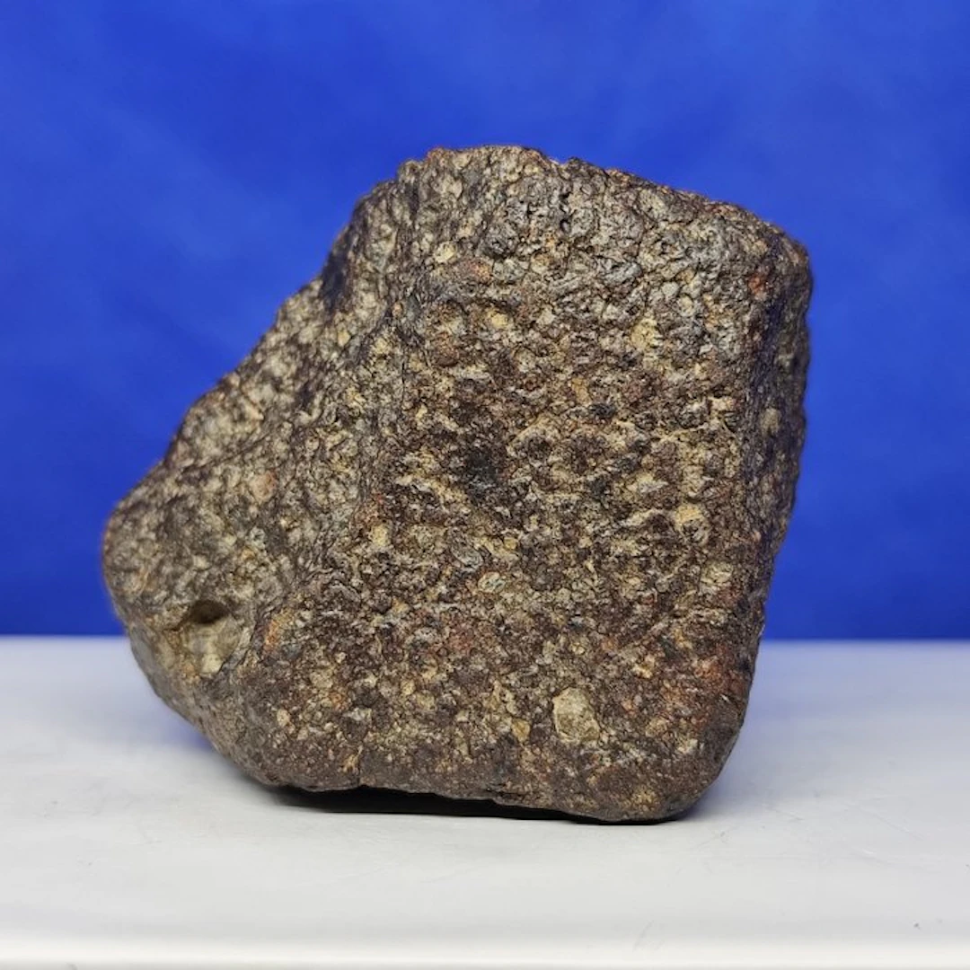Hundreds of chondrules!- Amazing TYPE LL3 CHONDRITE METEORITE (Sahara