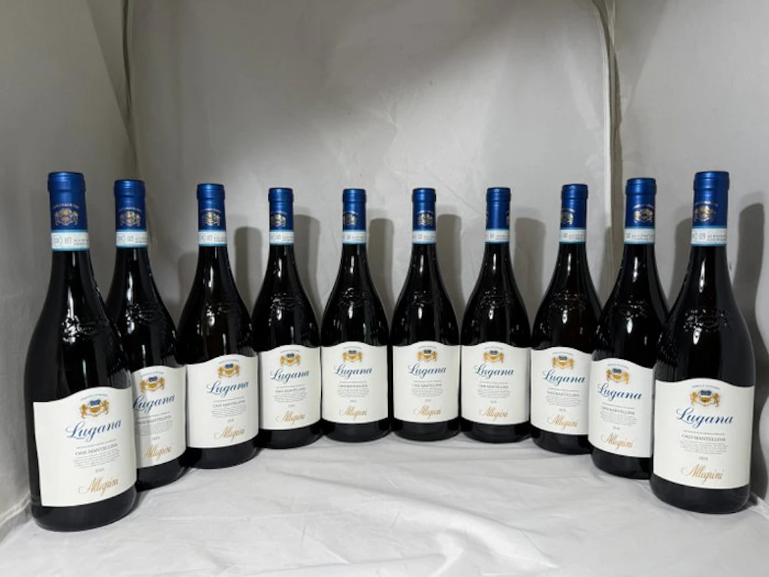 2024 Allegrini Lugana Doc Oasi Mantellina - Veneto DOC - 10 Bottles (0.75L)