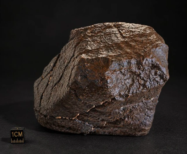 Unclassified NWA meteorite Chondrite Meteorite - Height...