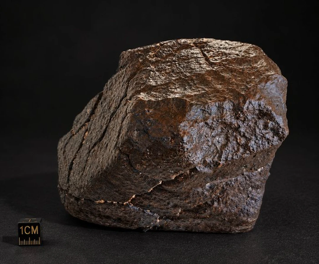Unclassified NWA meteorite Chondrite Meteorite - Height...