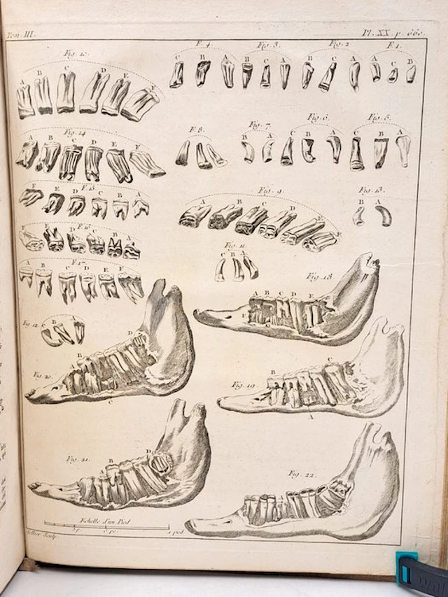 François Rozier - [Tome III] - Cours complet d'agriculture - 1785