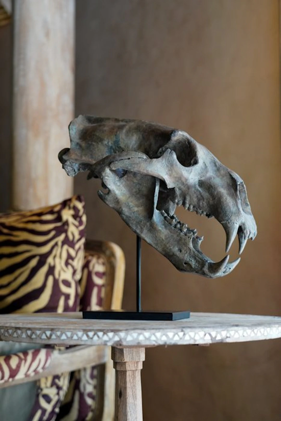 NO RESERVE PRICE - A Replica of Polar Bear skull on a...