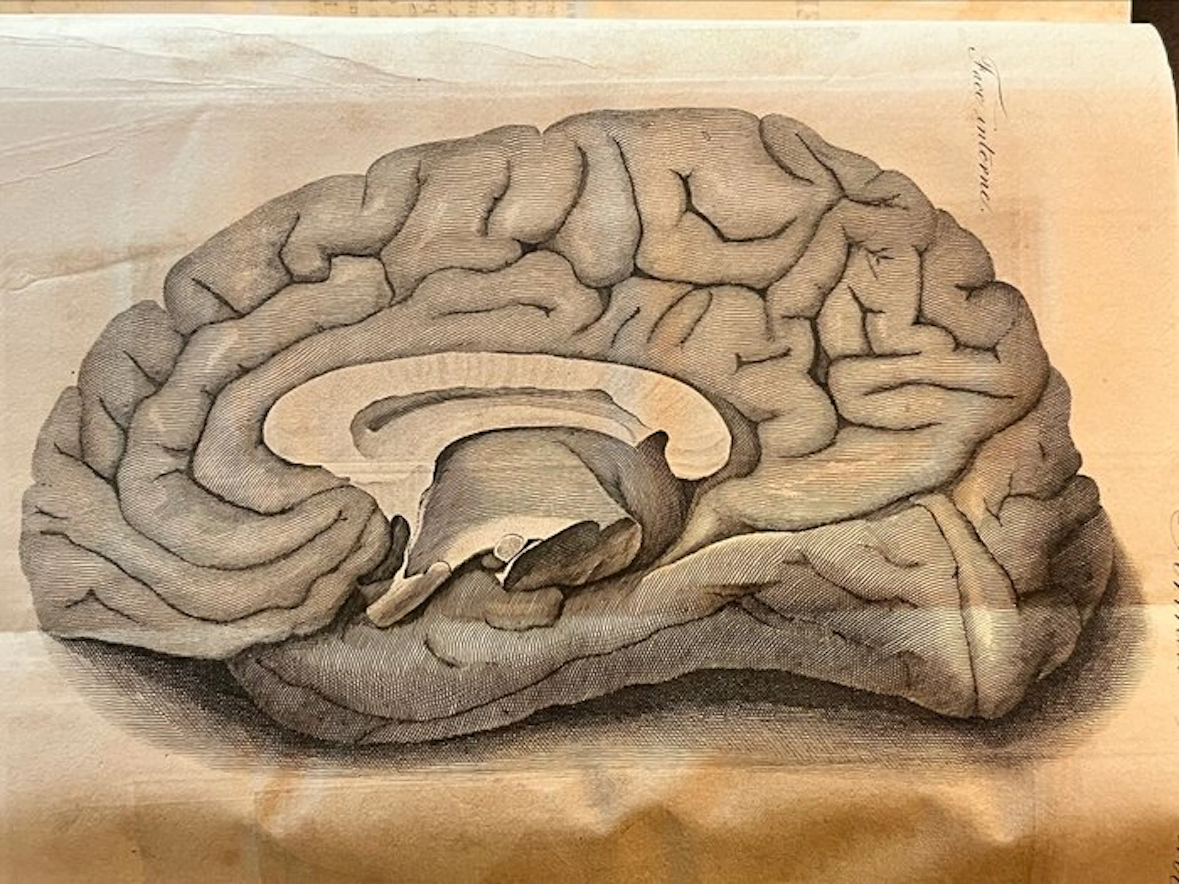 F. Magendie - Physiologie expérimentale - 1836