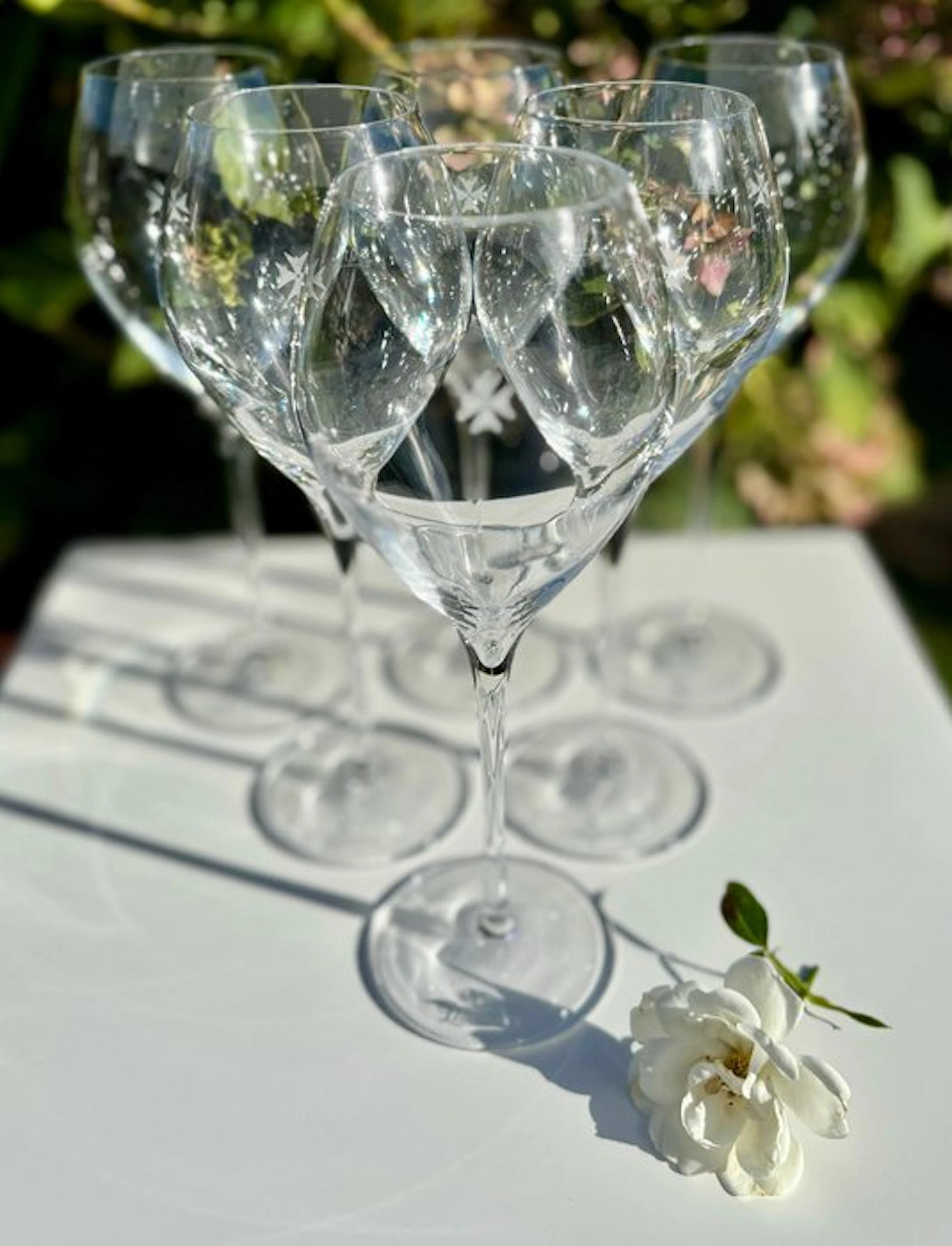 Lehmann - Champagne glass (6) - Glass