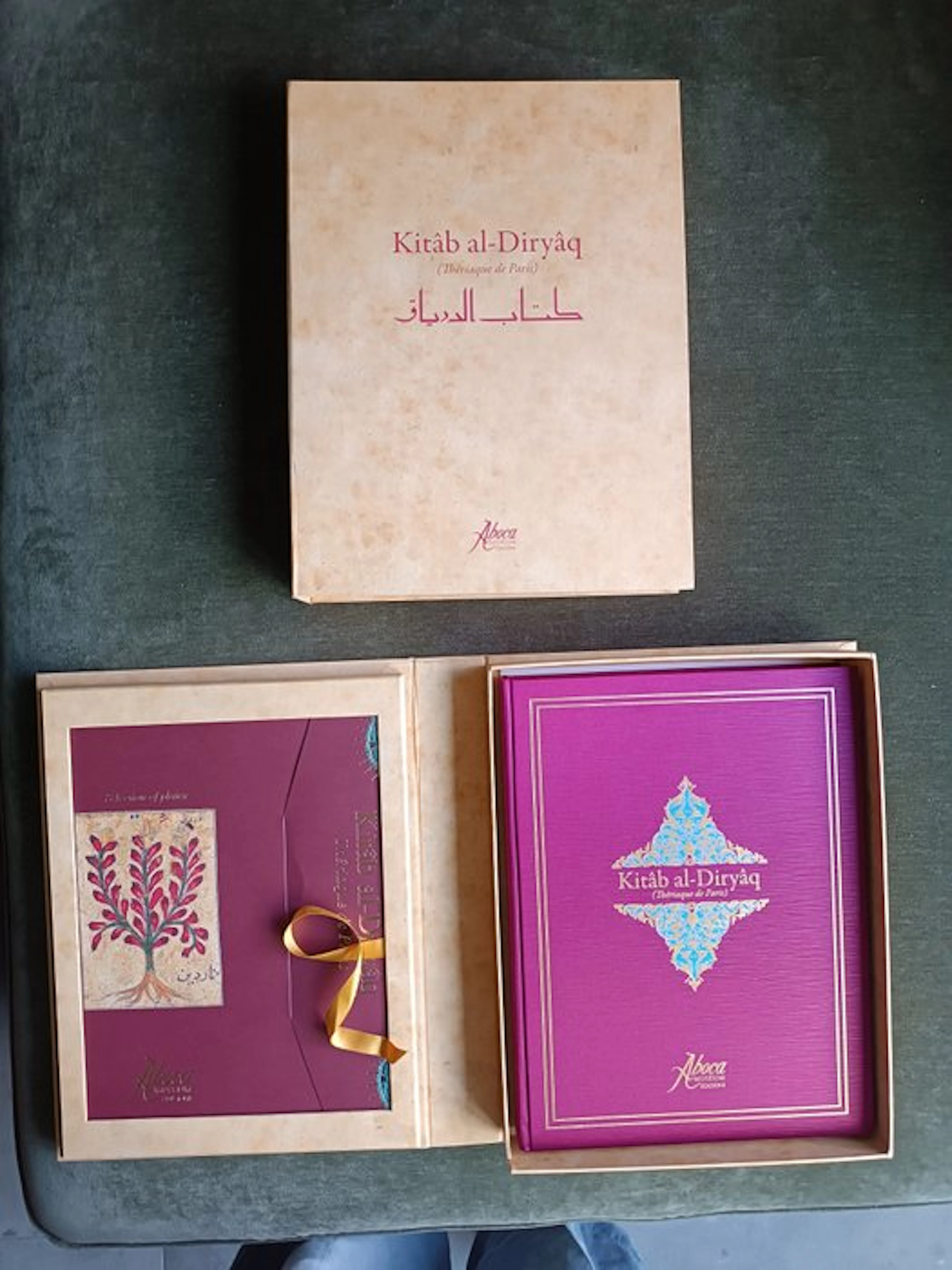 Muhammad ibn Abi al-Fath - Kitâb al-Diryâq - La Teriaca di Parigi - 2009