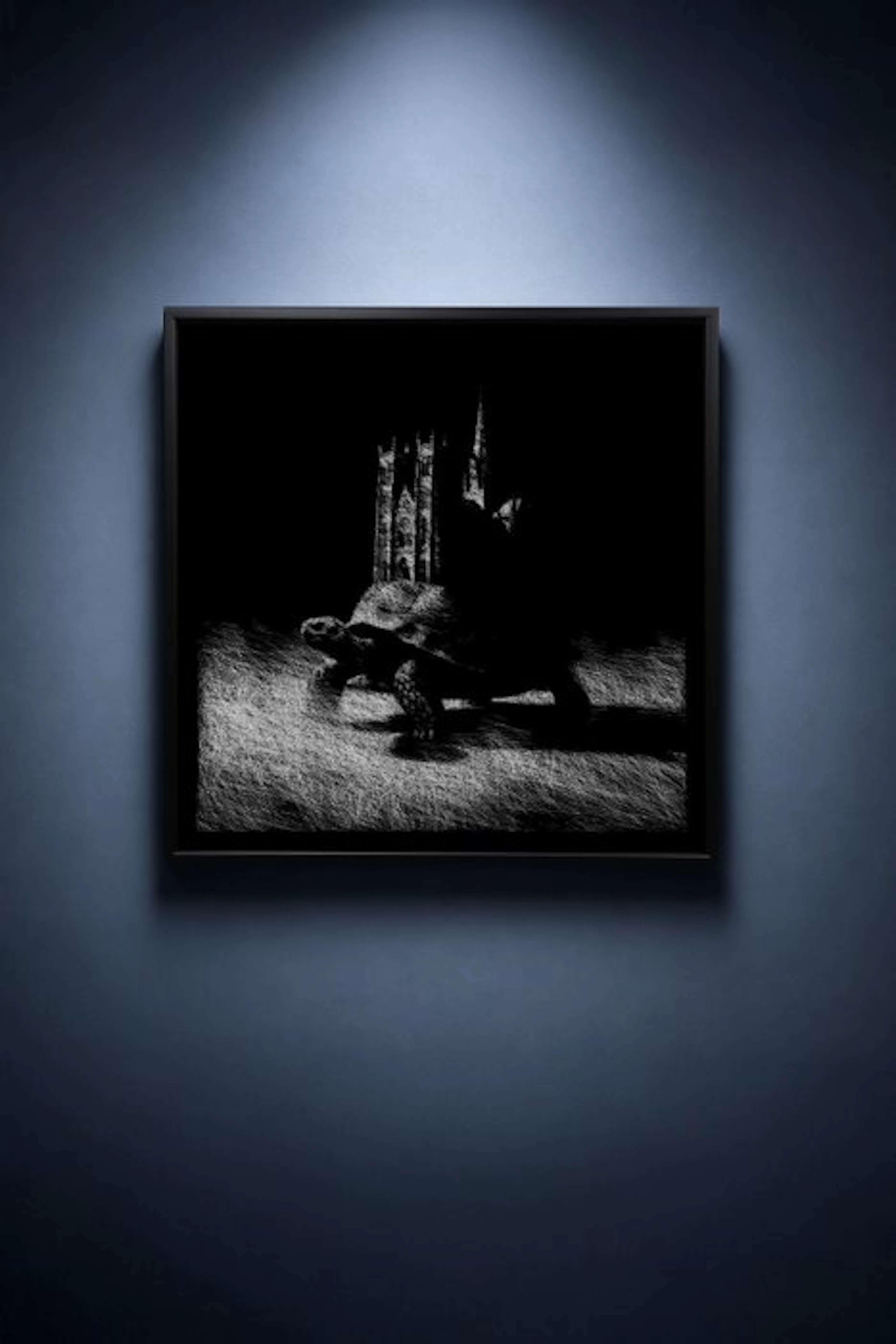 Tijs Dragtsma (1992) - A Cathedral Walks Through Mist