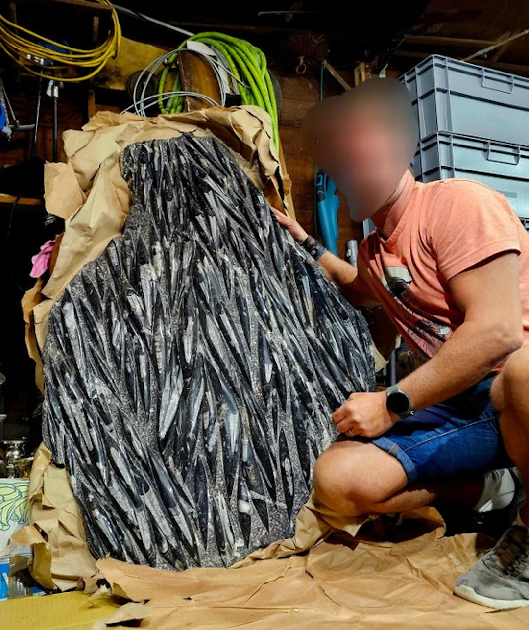 Huge orthoceras fossil plate measuring no less than 130 cm x 95 cm
