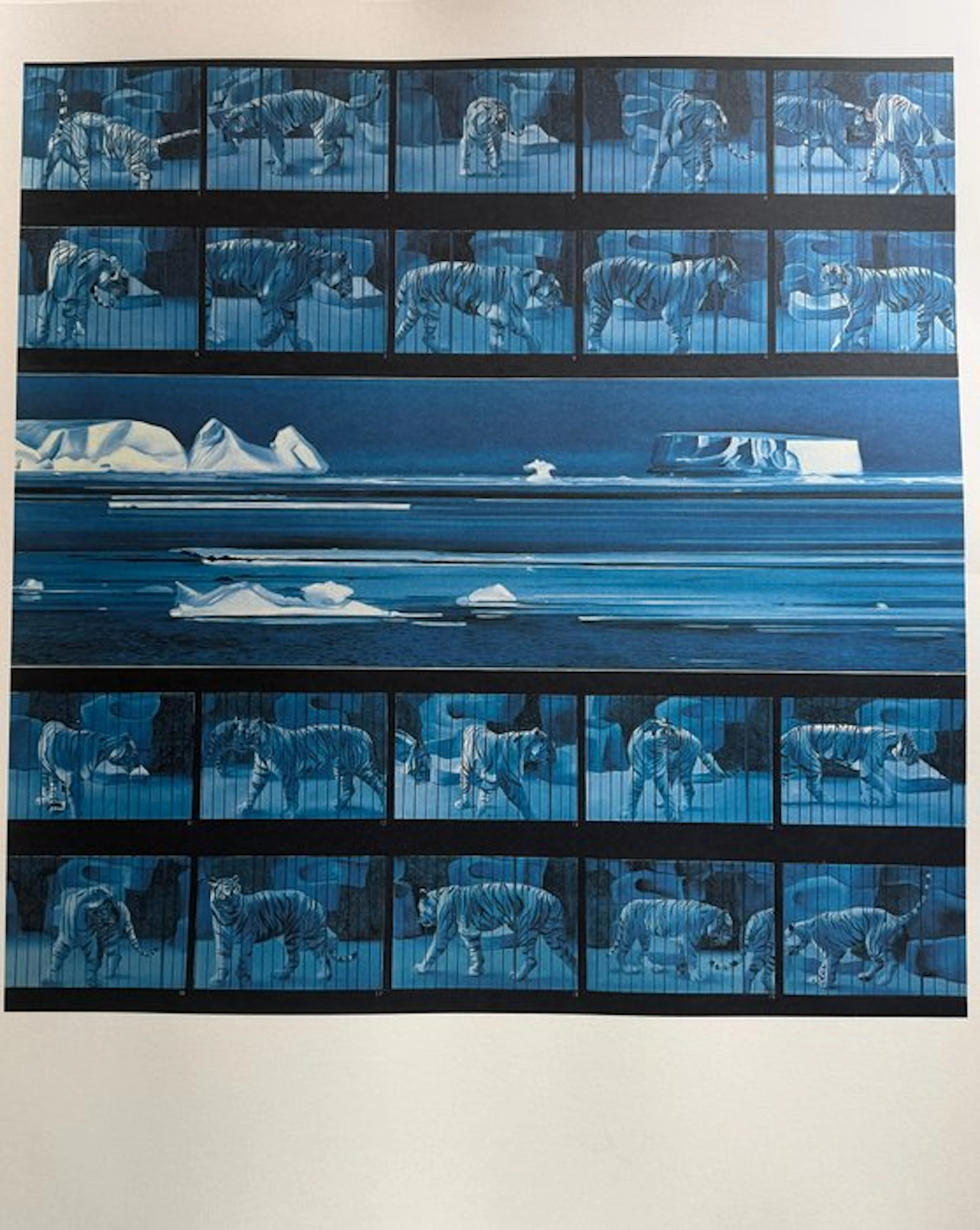 Monory Jacques (1924- ) - TIGRE I