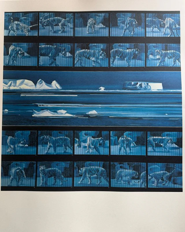 Monory Jacques (1924- ) - TIGRE I