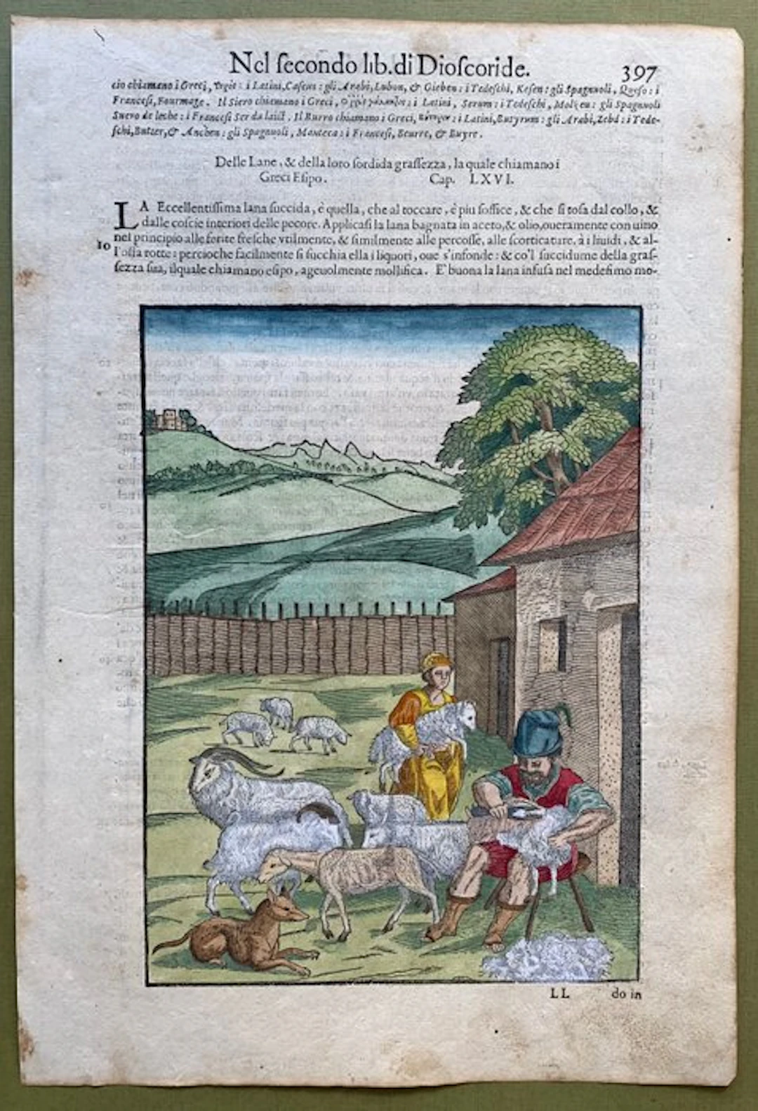 Della lana - 1604