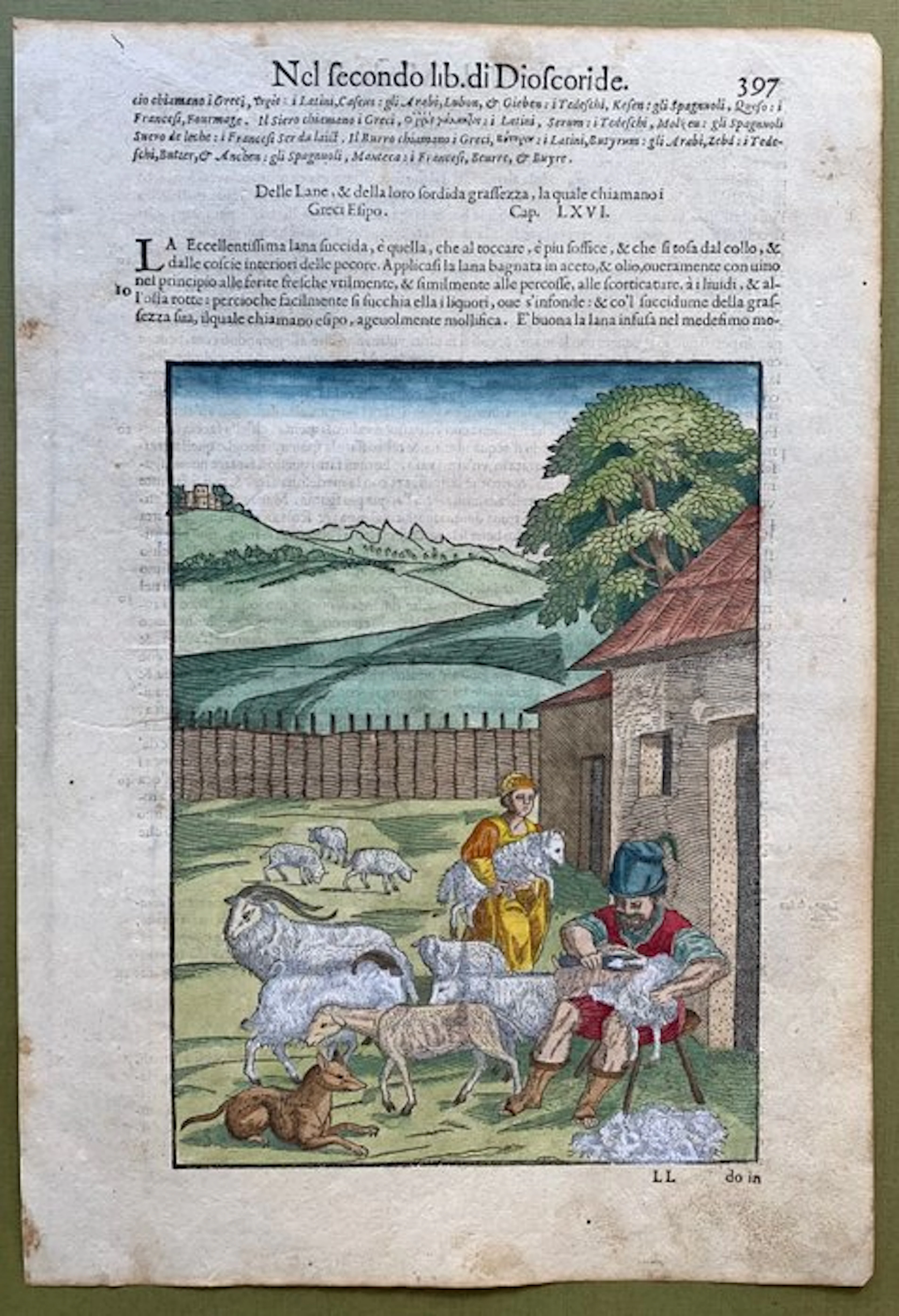 Della lana - 1604