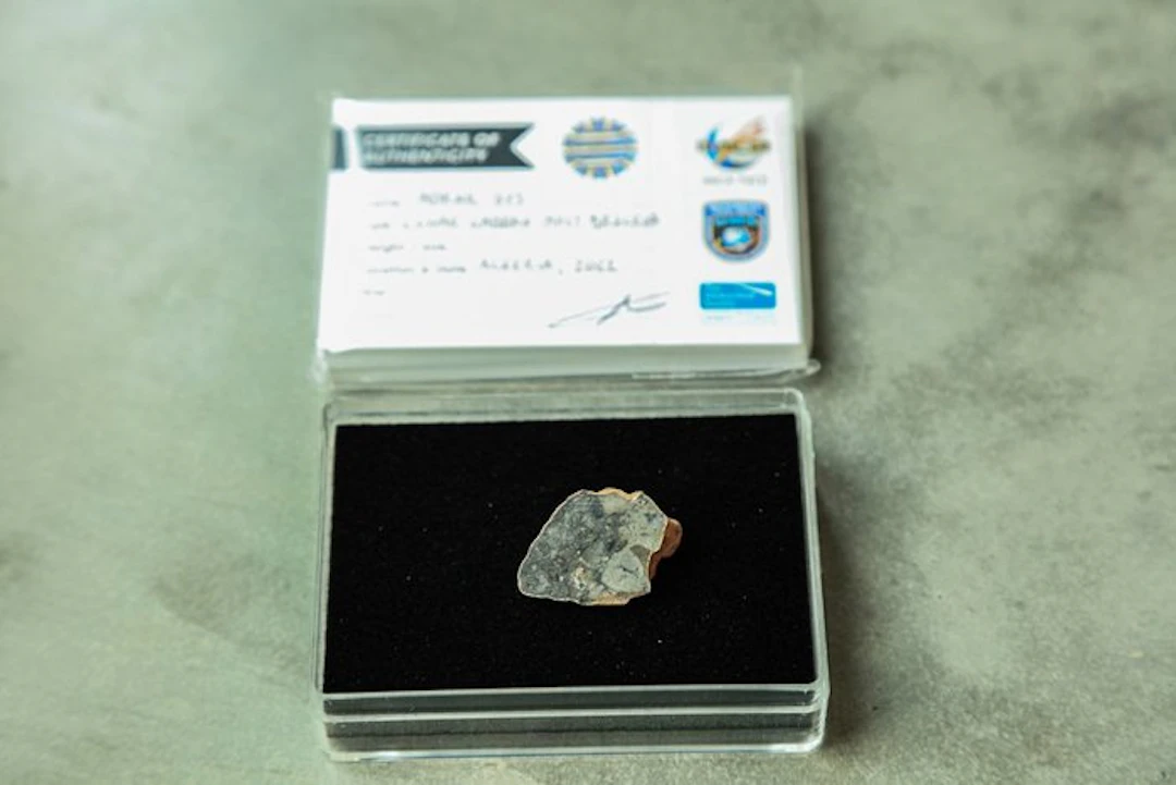 Lunar meteorite XL Adrar 013 Lunar Feldspathic Gabbro...
