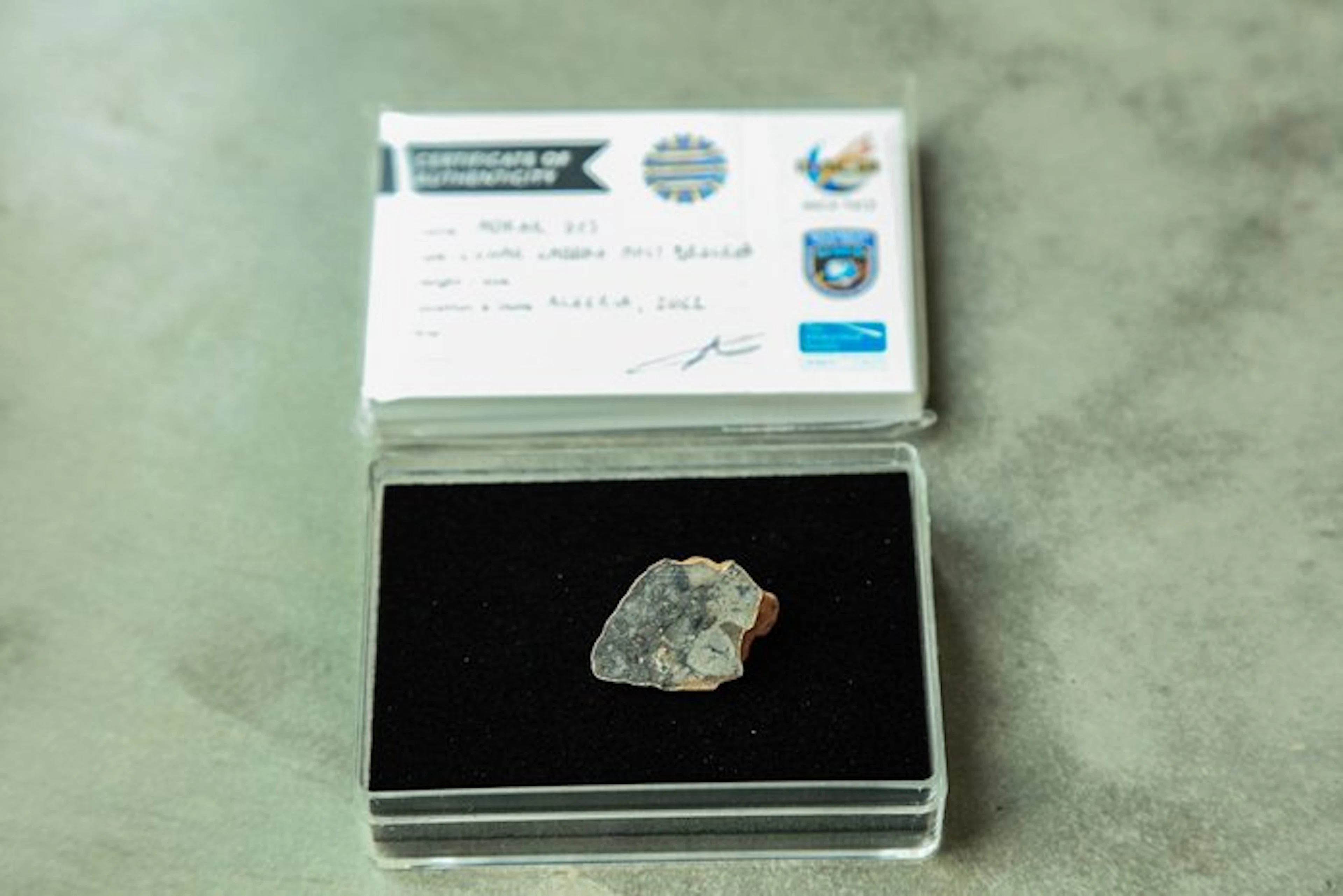 Lunar meteorite XL Adrar 013 Lunar Feldspathic Gabbro...