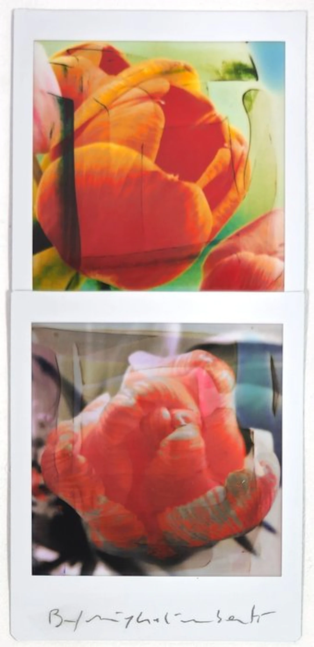 Maurizio Galimberti (1956–) - BiFlowers - 11550