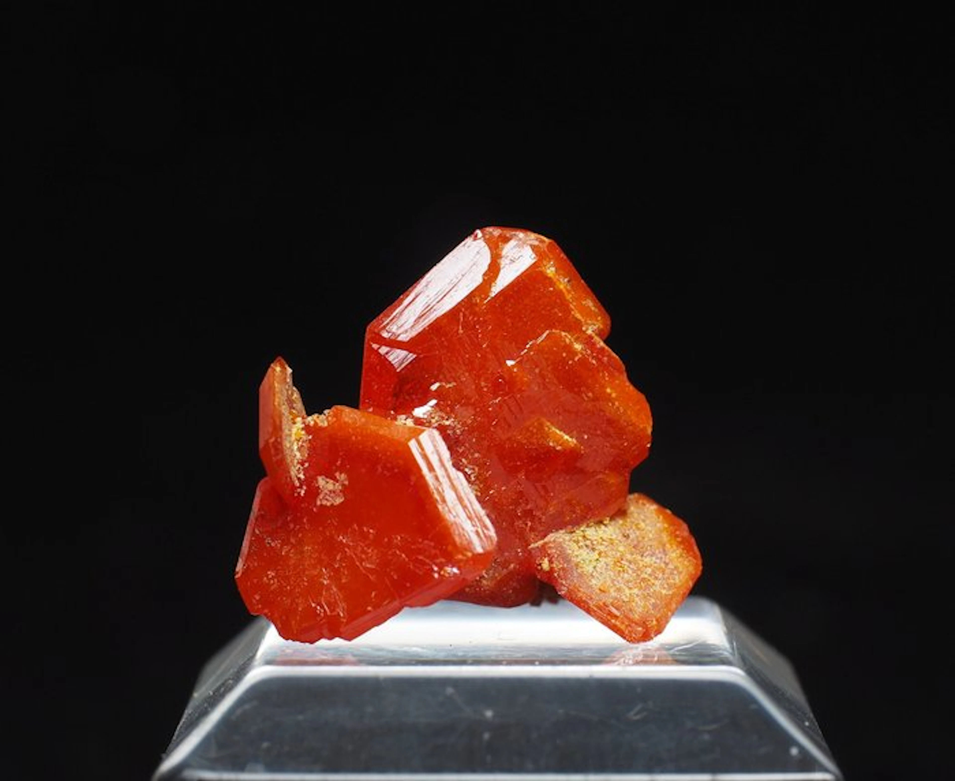Wulfenite Crystals on matrix - Height: 1.5 cm - Width: 1.3 cm- 3 g