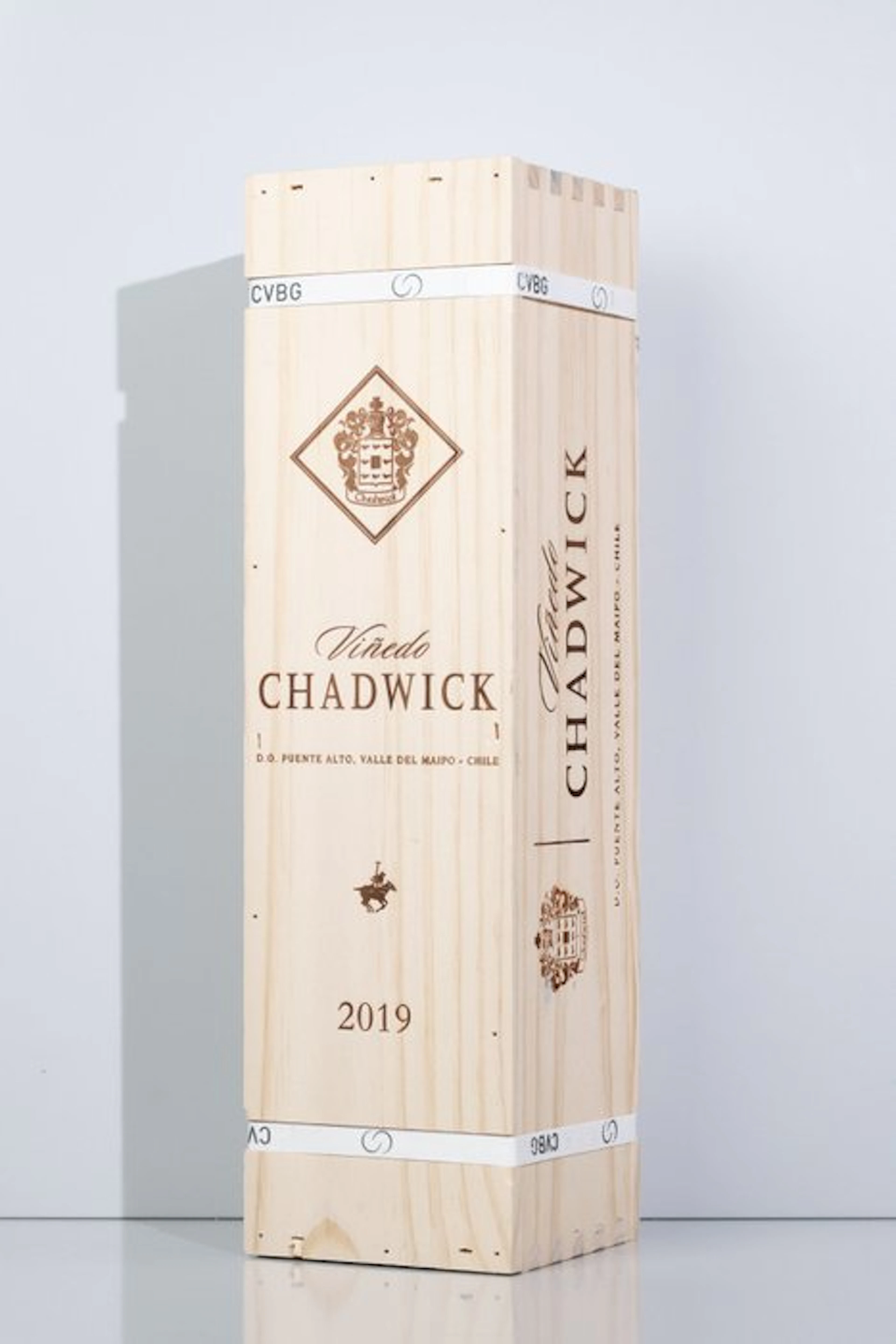 2019 Viñedo Chadwick - Maipo Valley - 1 Magnum (1.5L)