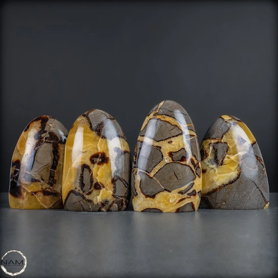 Powerful Earth energy – Exclusive Septarian free-form set...