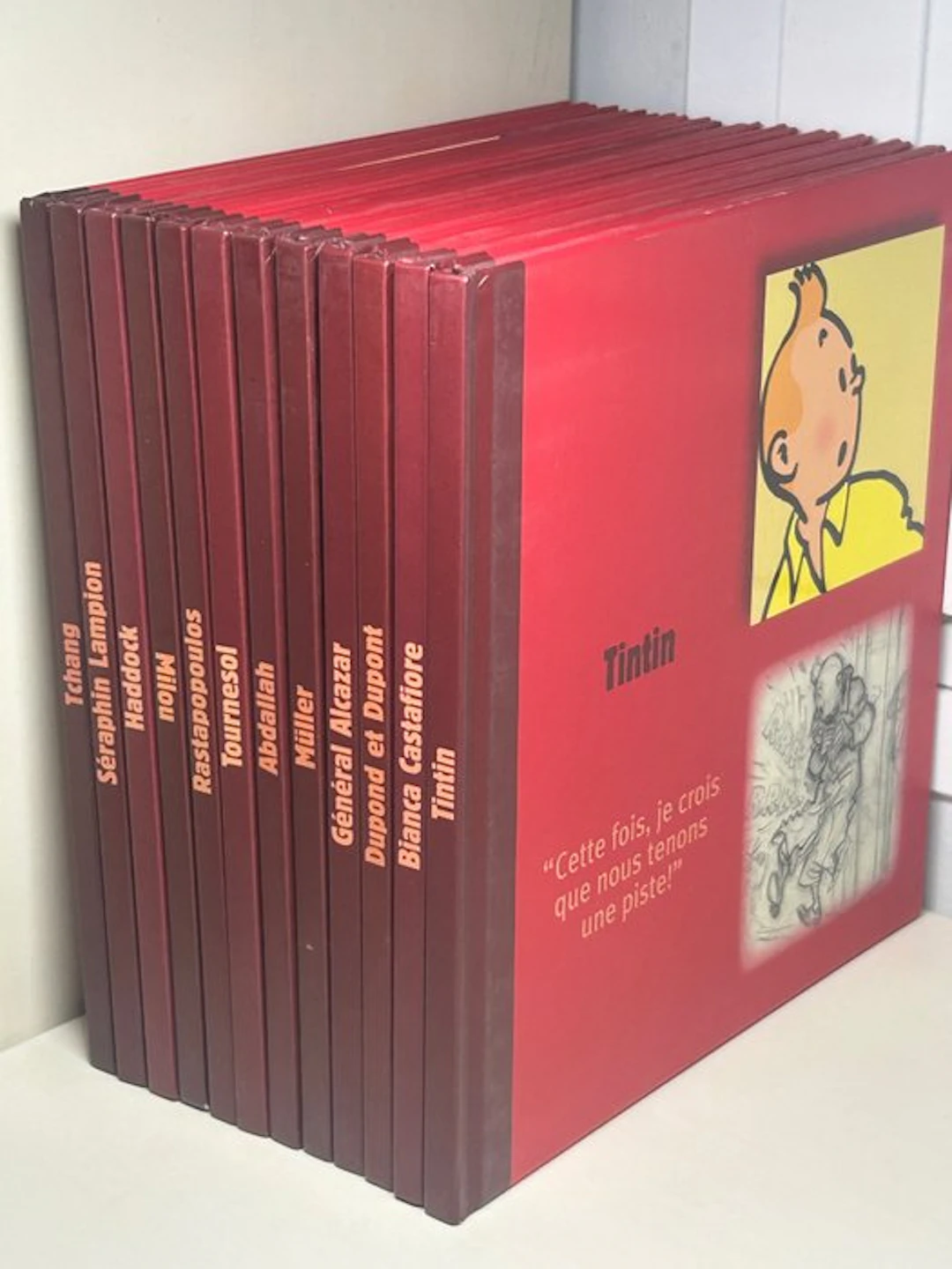 Tintin - Série complète de 12 albums-portrait - 12x C - 12 Albums - 2007