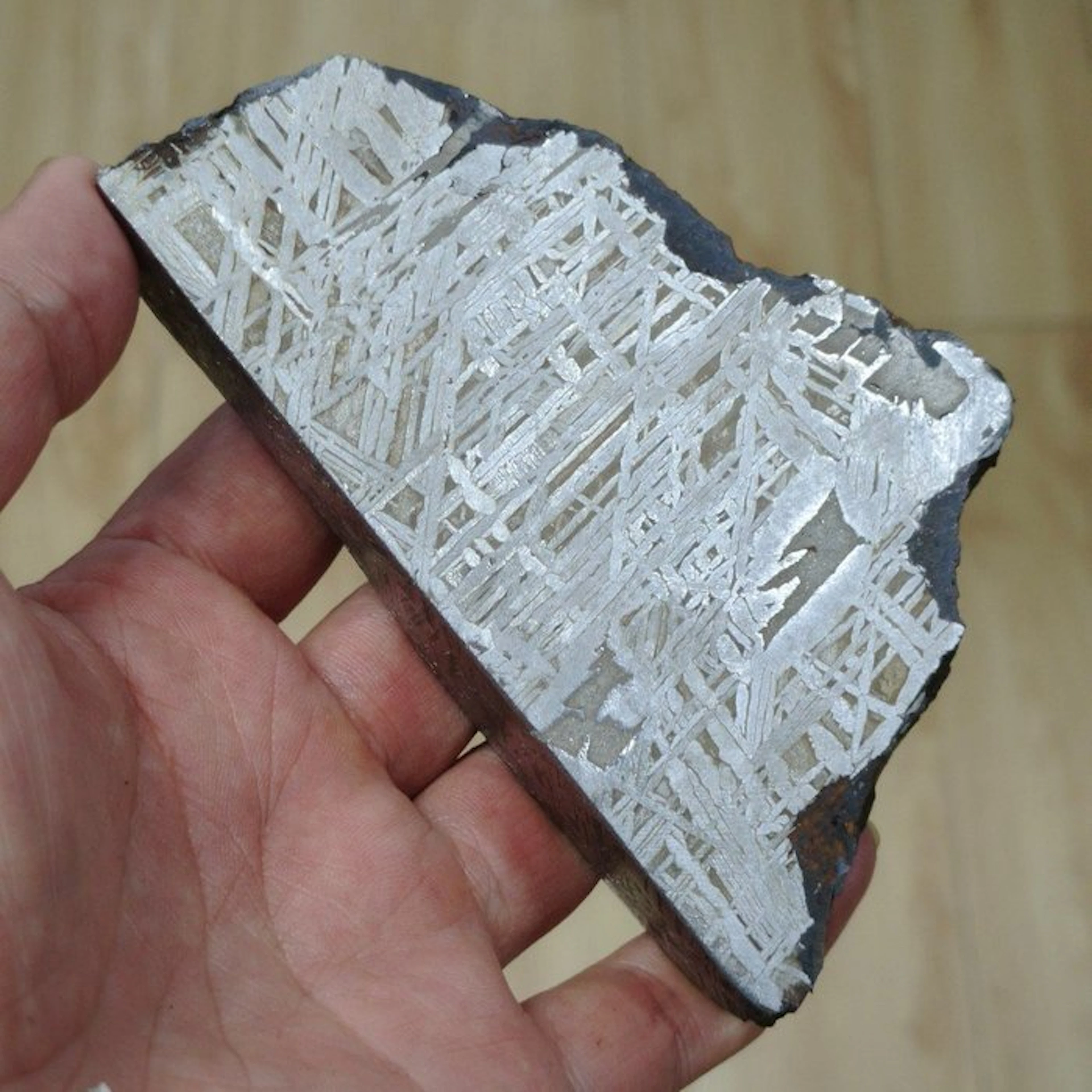 End cut of the Aletai iron meteorite with fusion crust...