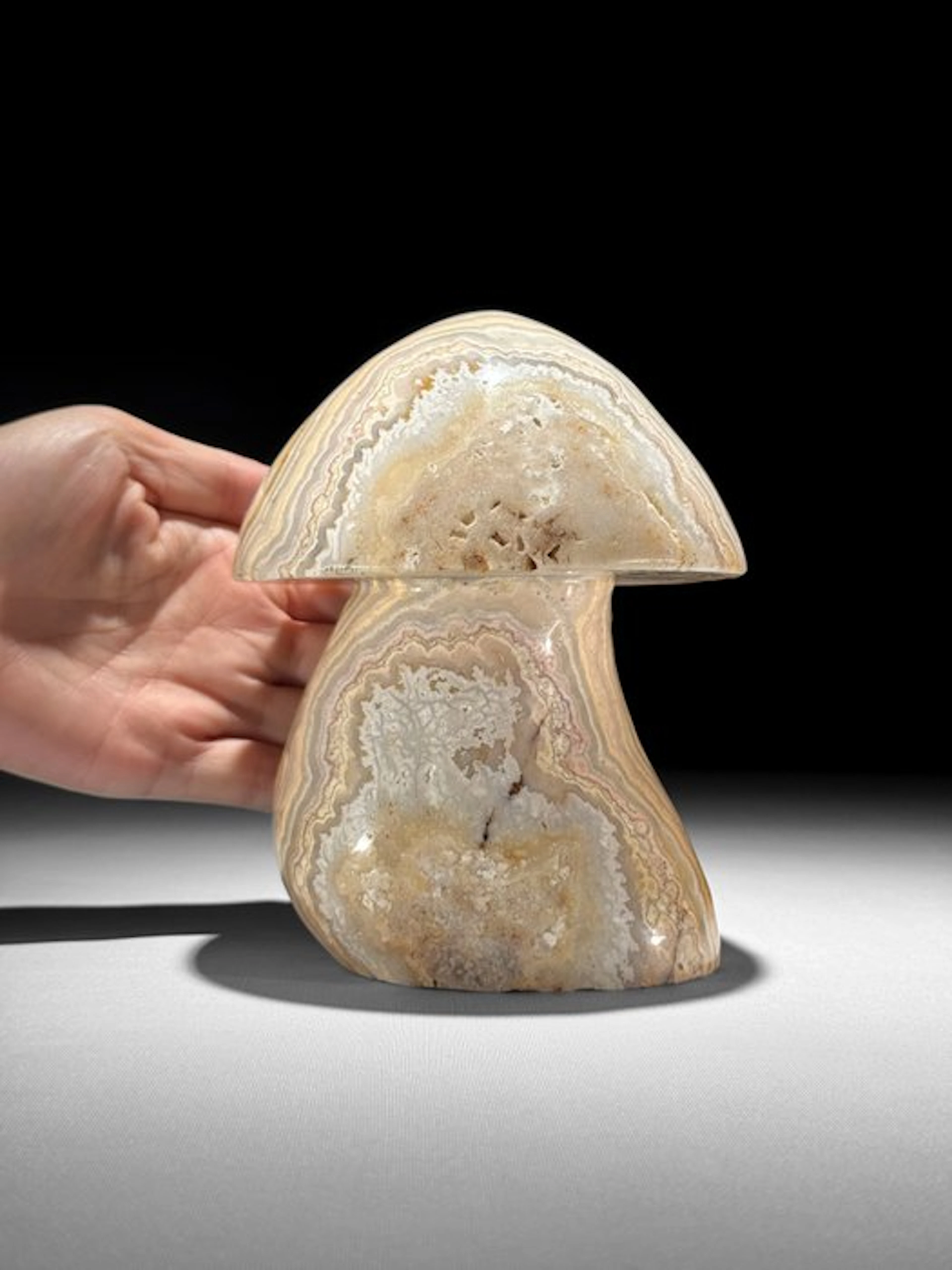 NO RESERVE PRICE - Hand-Carved Lace Agate Mushroom...