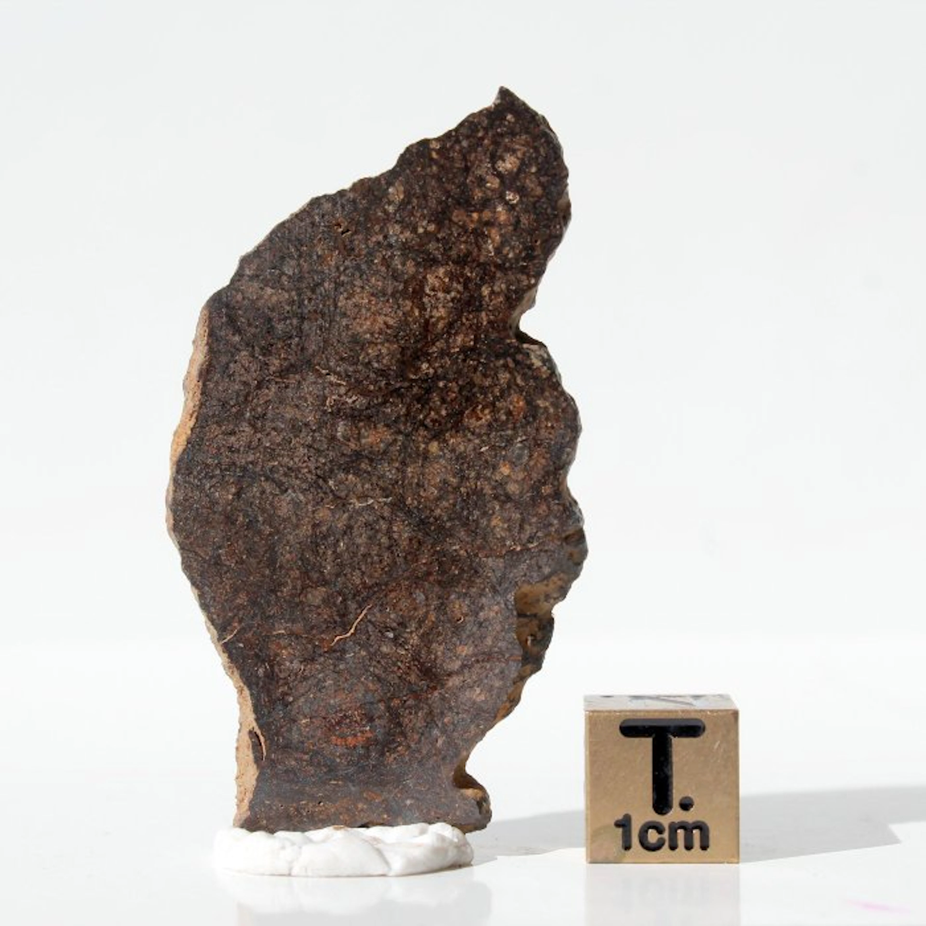 Nice SLICE from Mesosiderite NWA 14036 Stony-Iron Meteorite - 7.33 g - (1)