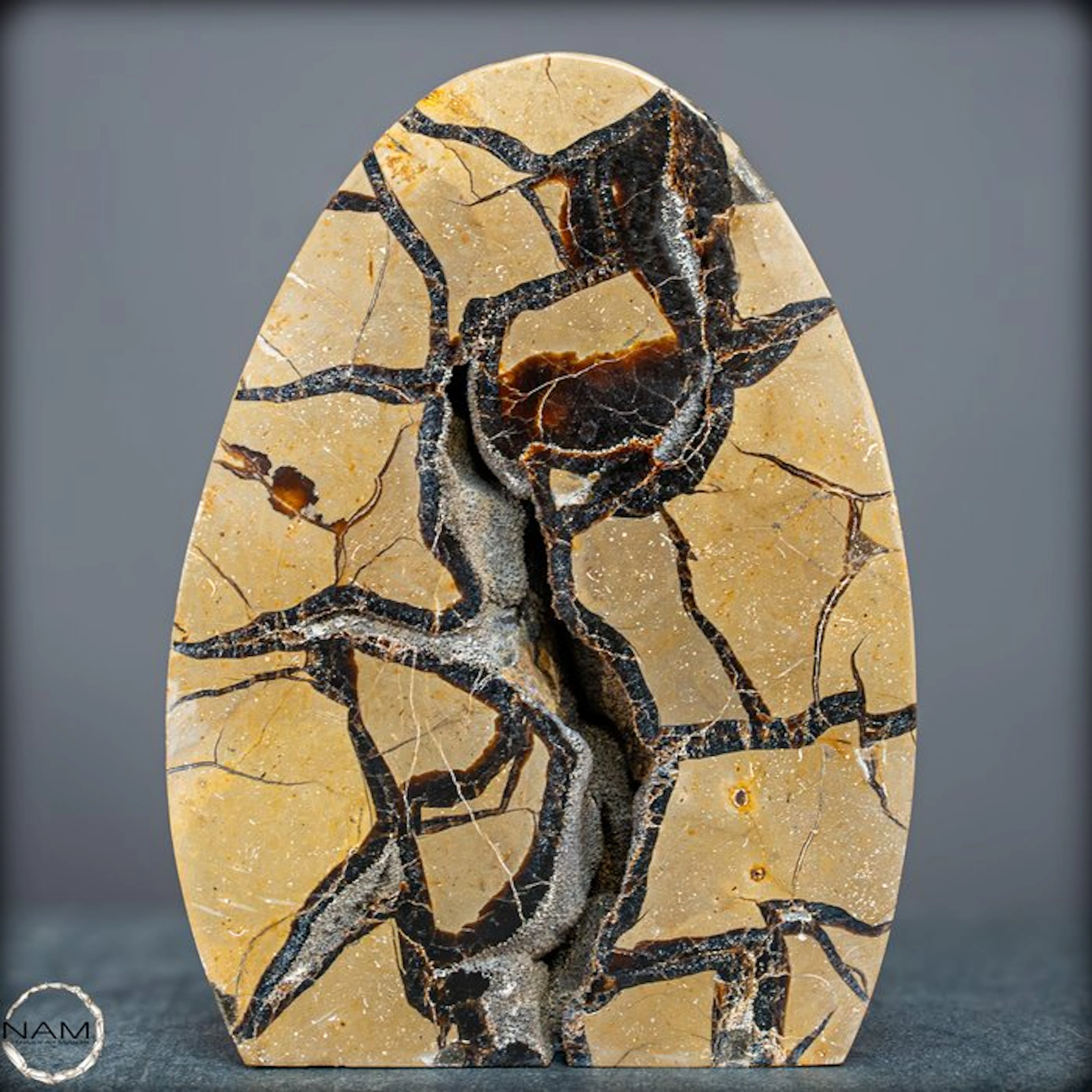 Septarian freeform with drusy – natural texture meets...
