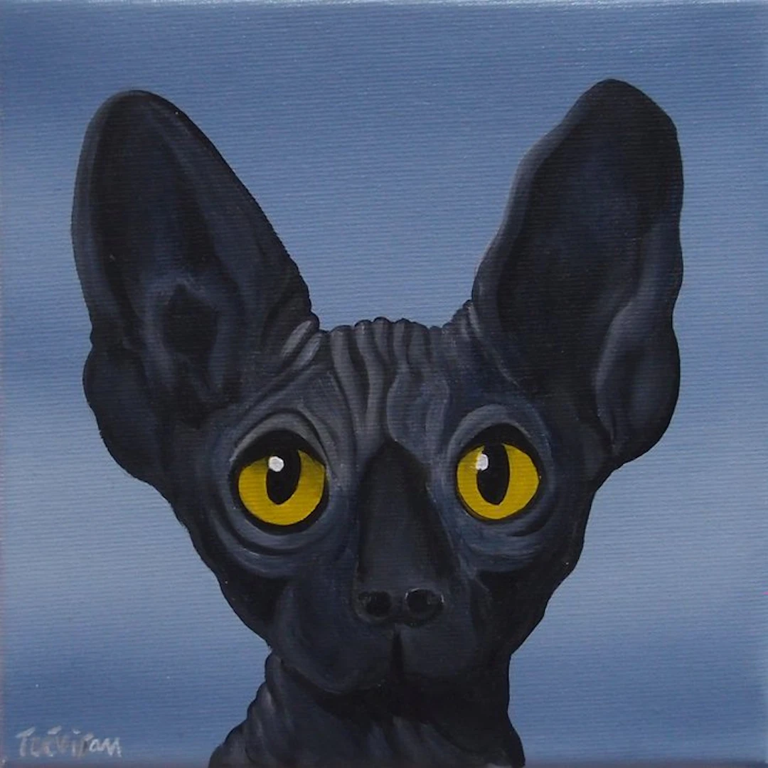 Trevisan Carlo - Look me please