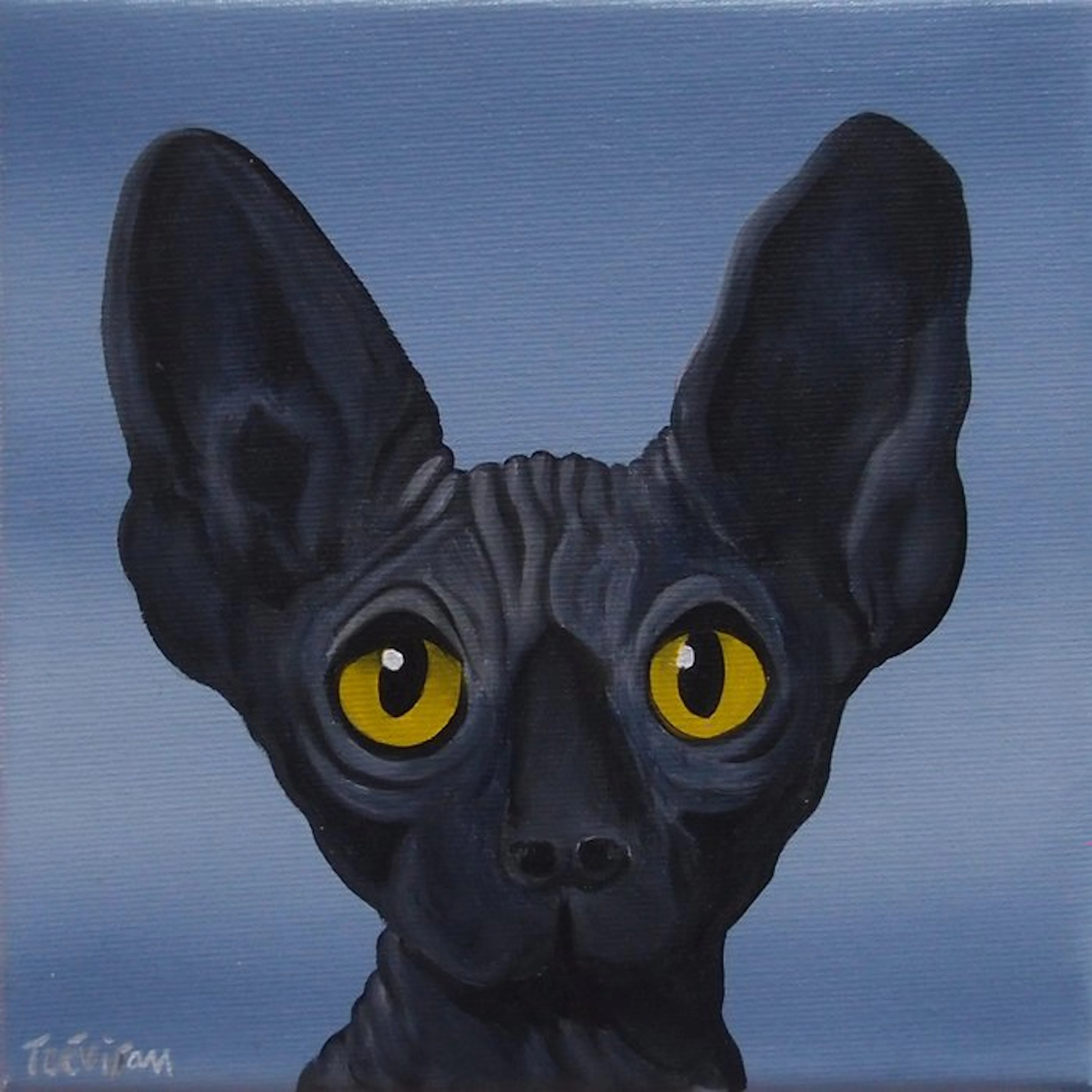 Trevisan Carlo - Look me please