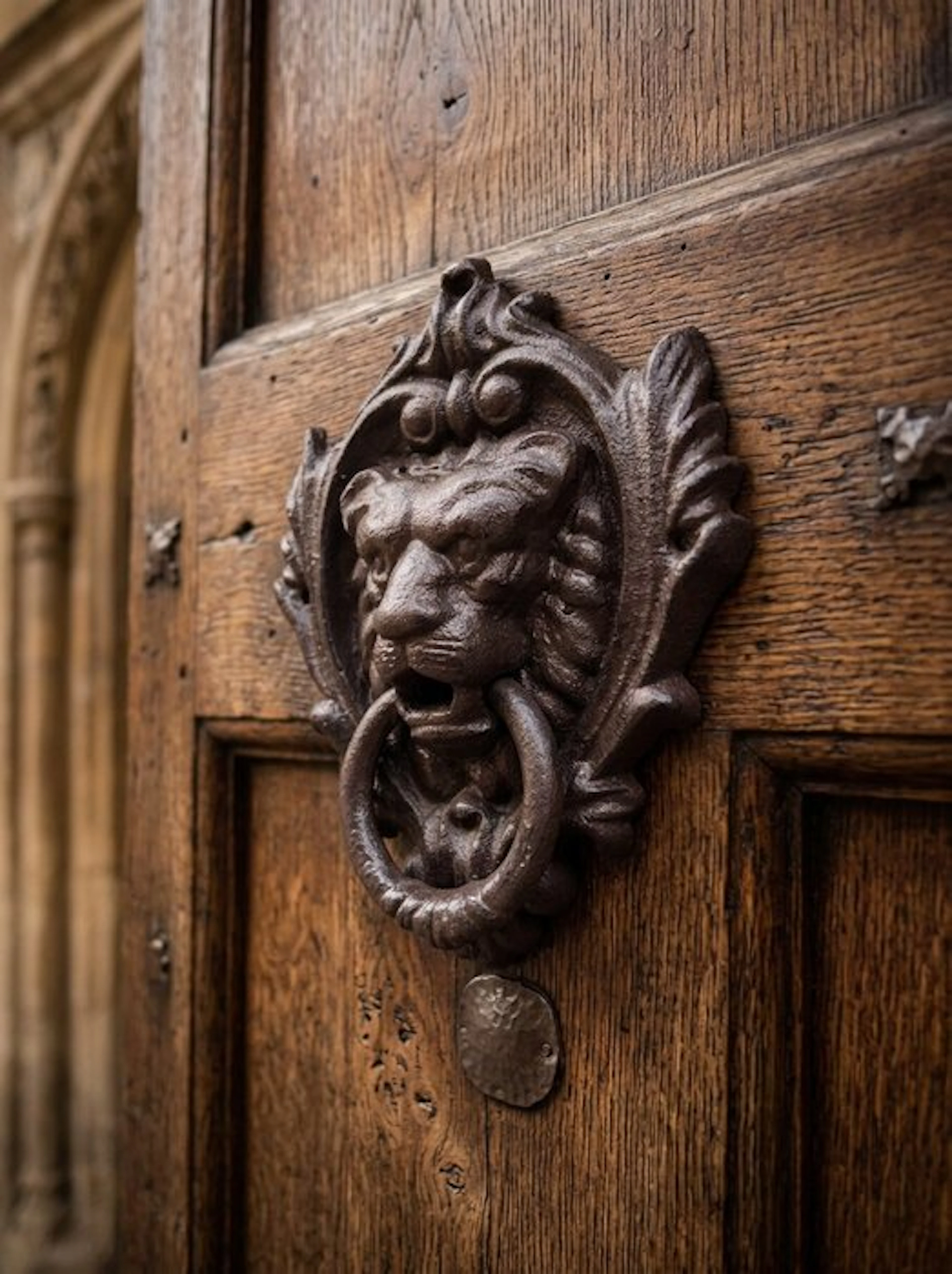 Decorative ornament - Lion door knocker - Europe - Lion door knocker