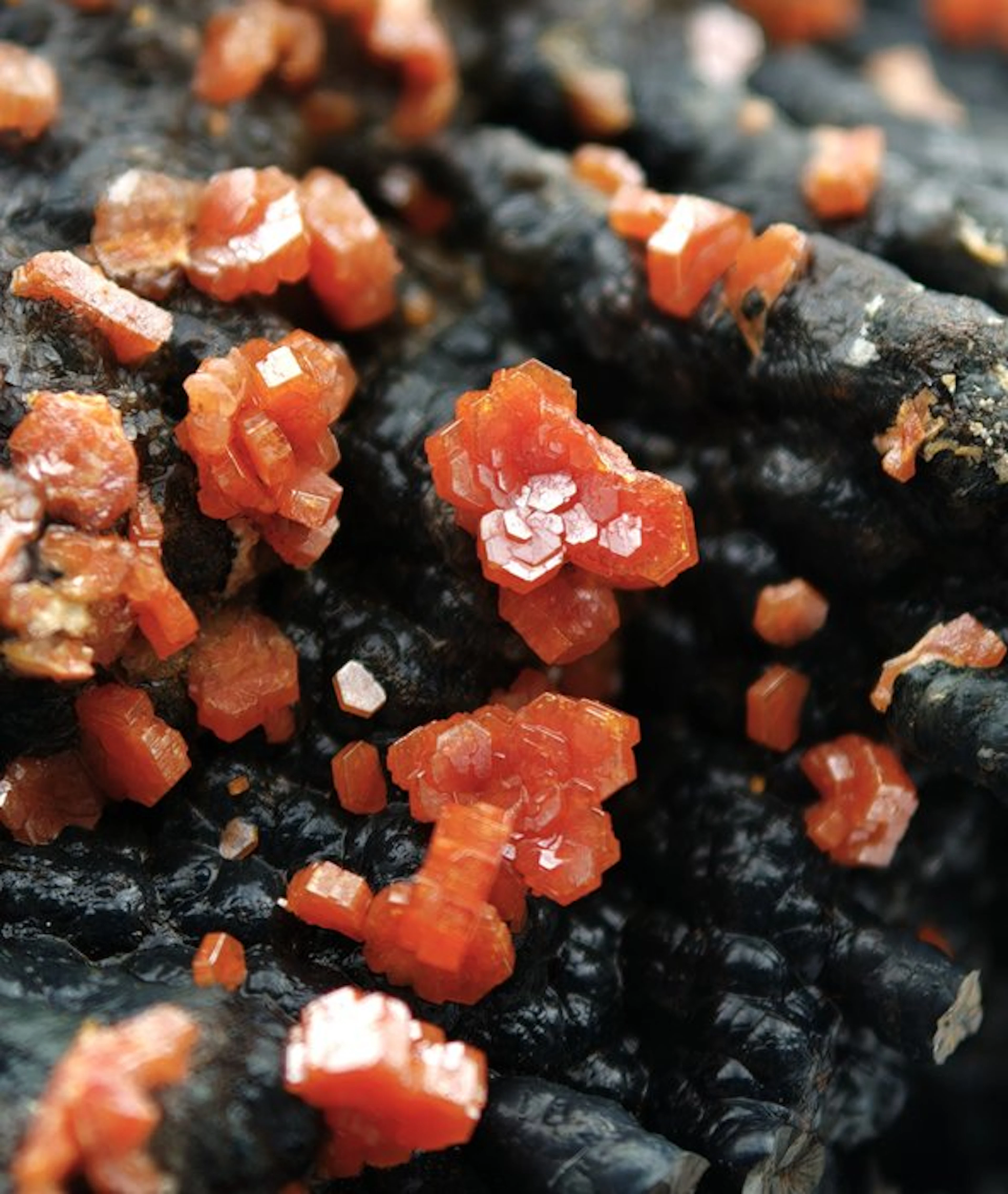 Blood-red vanadinite storm on goethite stalactites...