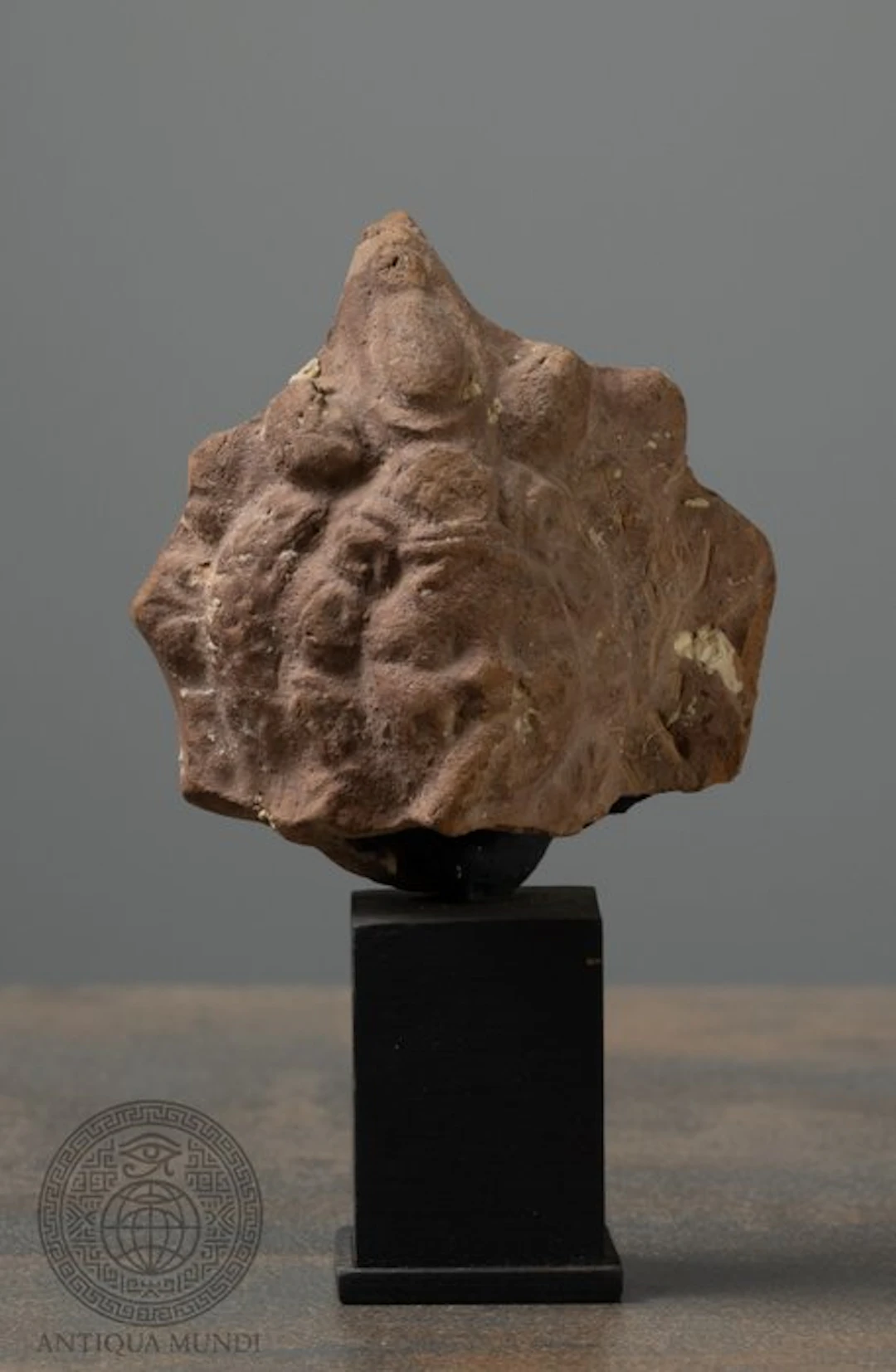 Ancient Roman Terracotta Terrakottafragment des Harpokrates - 7 cm