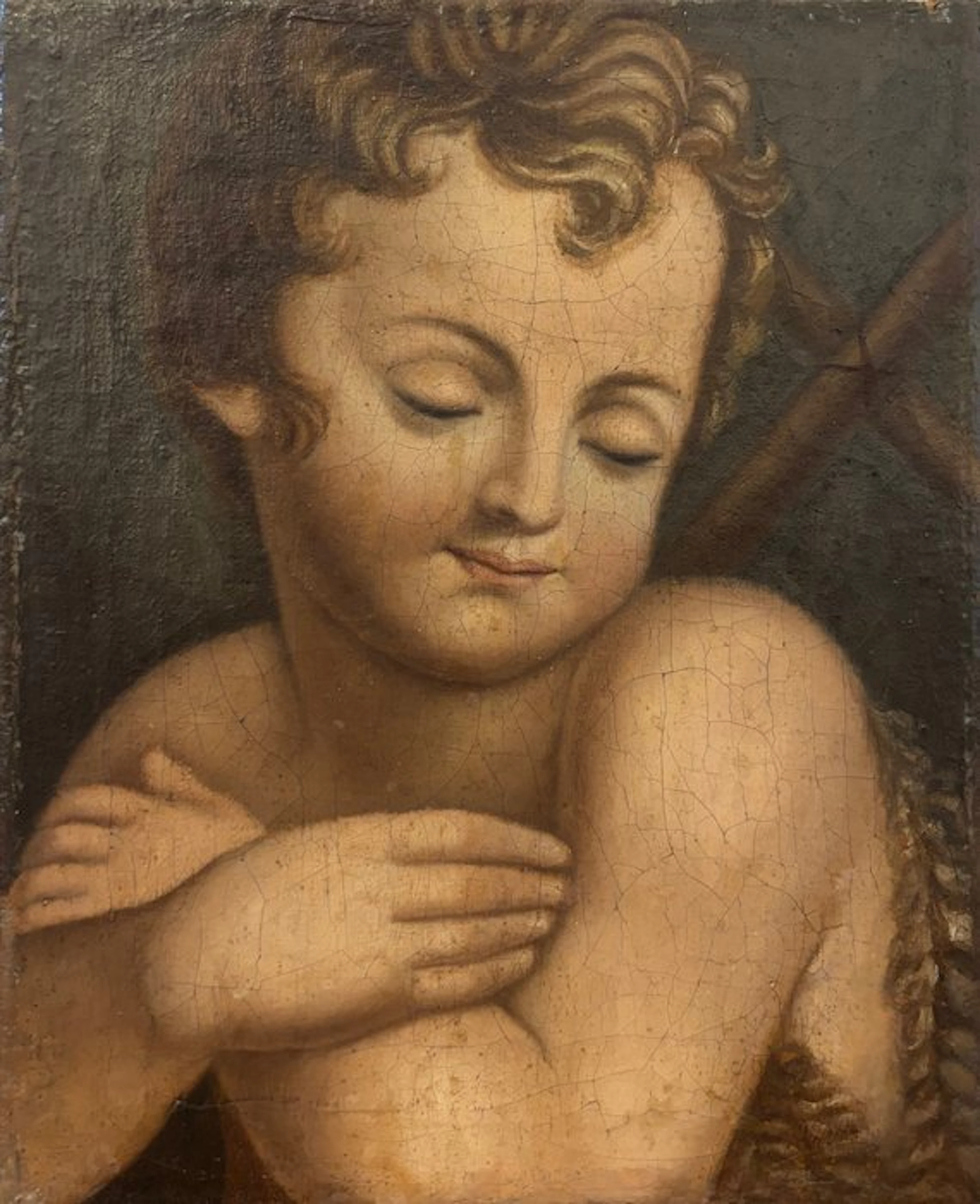 Italian school (XVII) - Putto