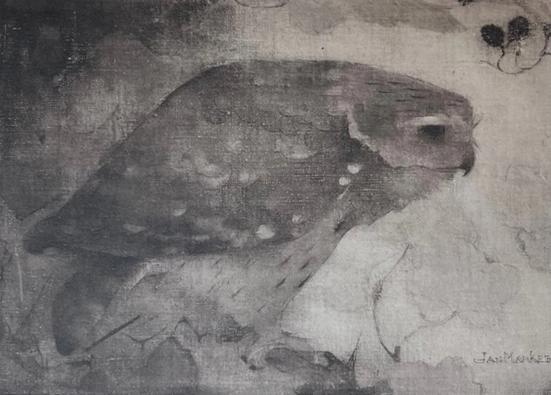 Jan Mankes (1889-1920) - Roofvogeltje op tak
