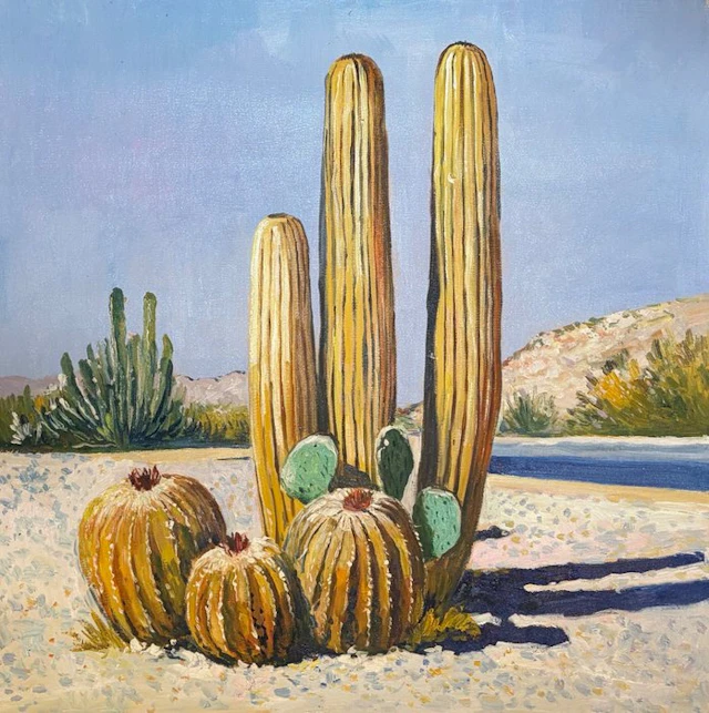 Alexy Berthelot - Cactus du désert côtier
