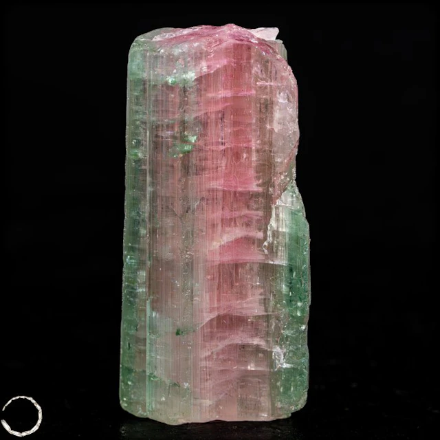 Watermelon Tourmaline – Elegant crystal with intense...