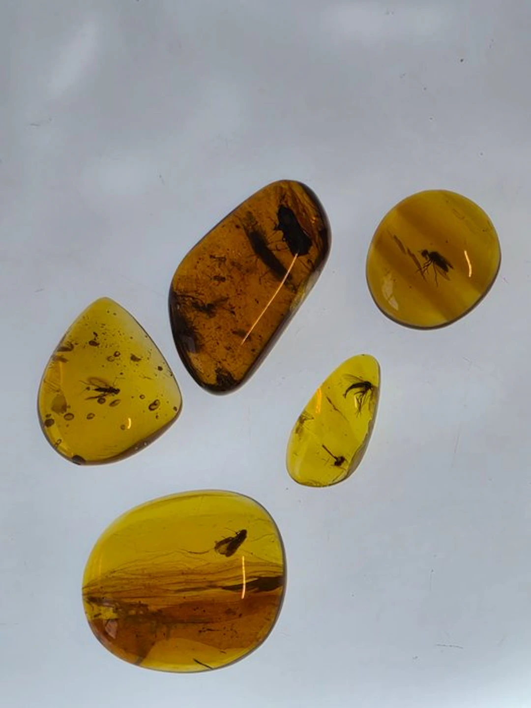 Burmese amber - Amber - Collection of 5 Natural Amber...