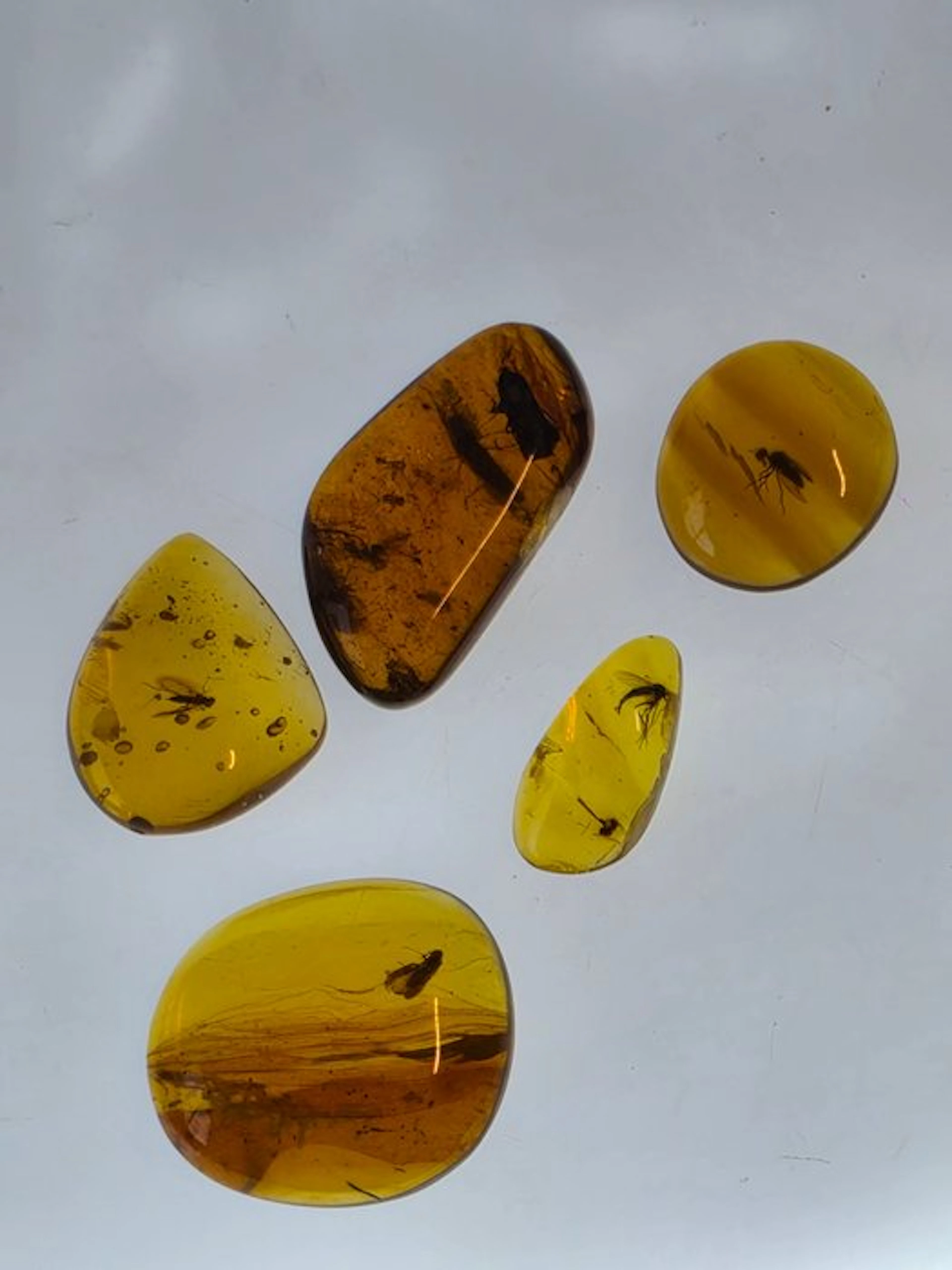 Burmese amber - Amber - Collection of 5 Natural Amber...