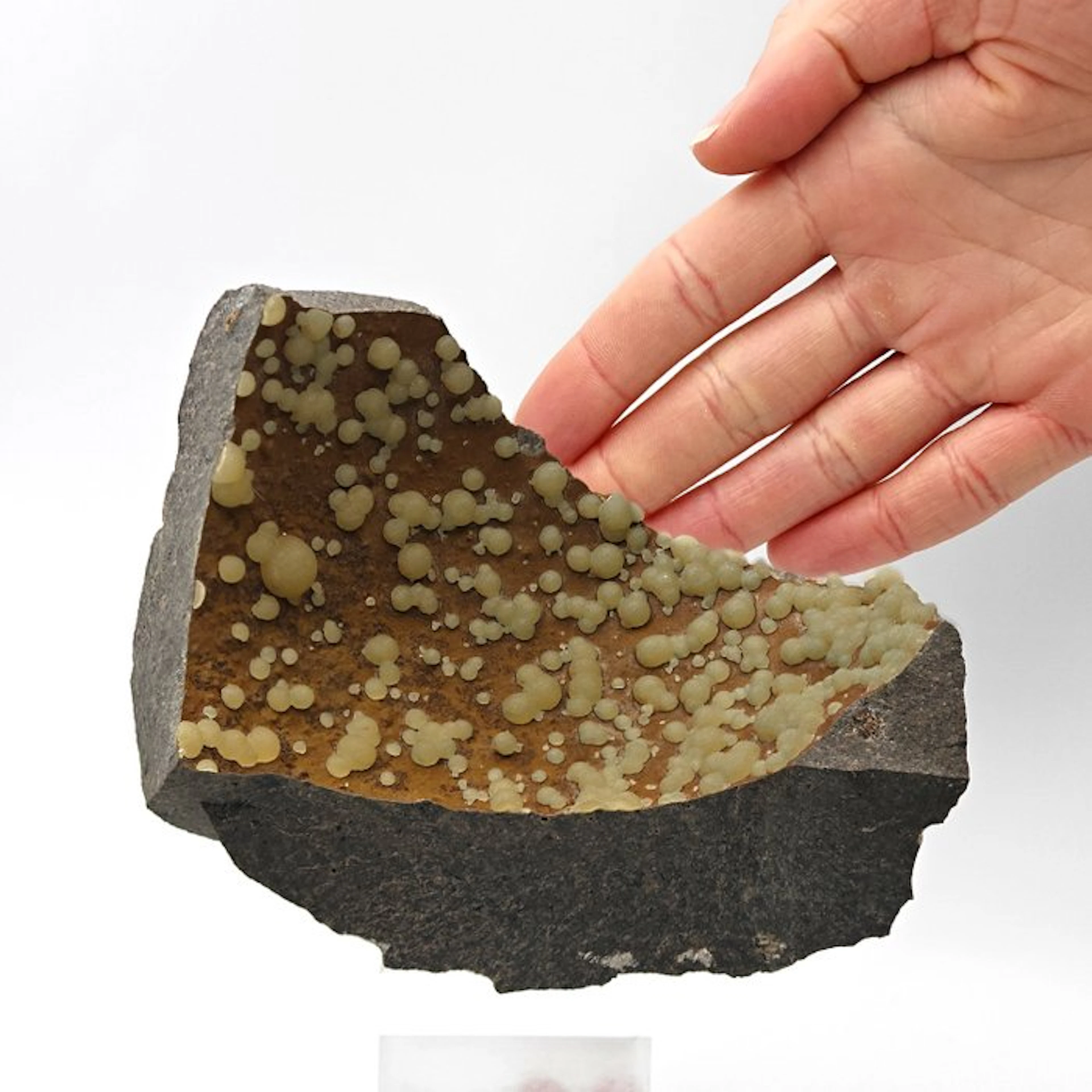Yellow Calcite Spheres on Dark Basalt