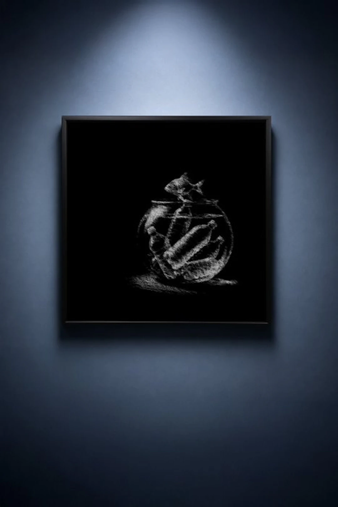 Tijs Dragtsma (1992) - A Fin Escapes the Clutter