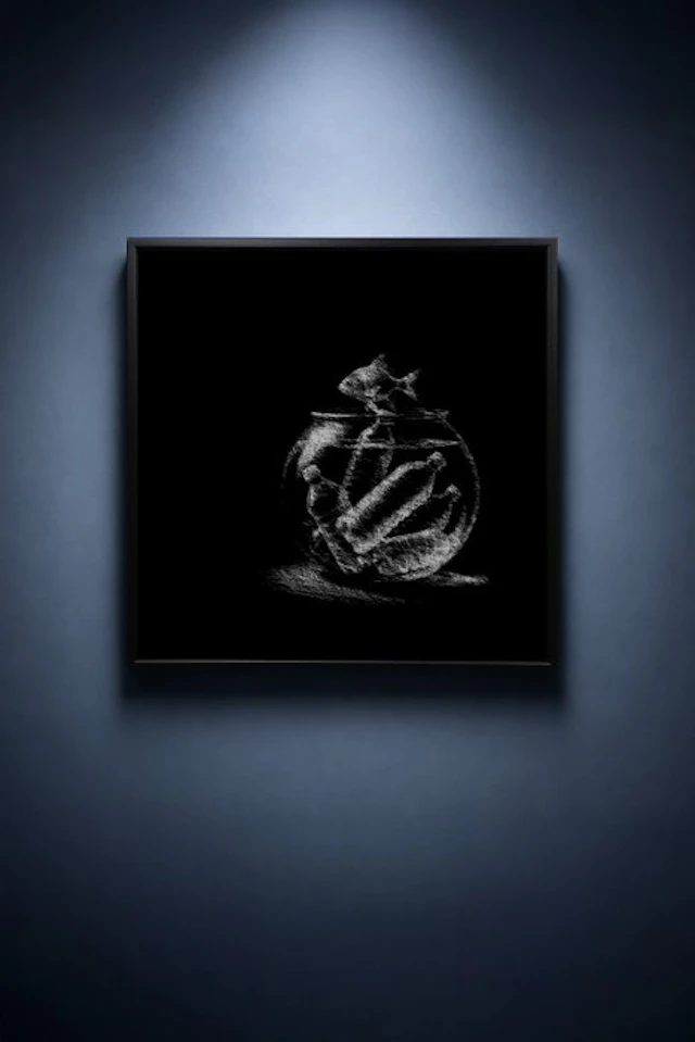 Tijs Dragtsma (1992) - A Fin Escapes the Clutter