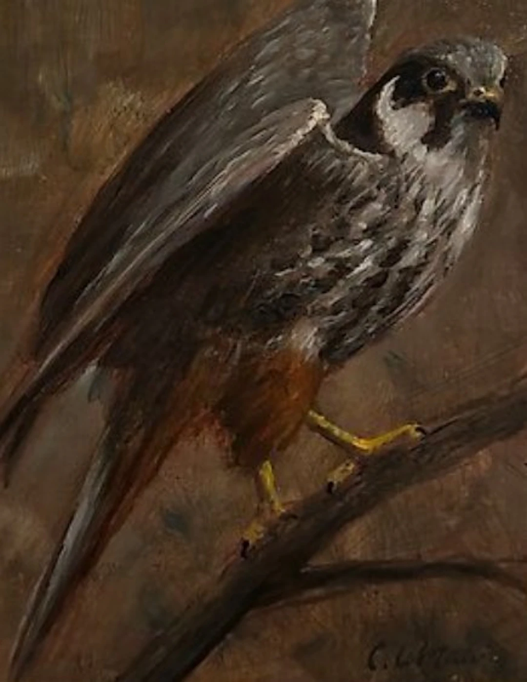 Cornelis Le Mair (1944) - Valk